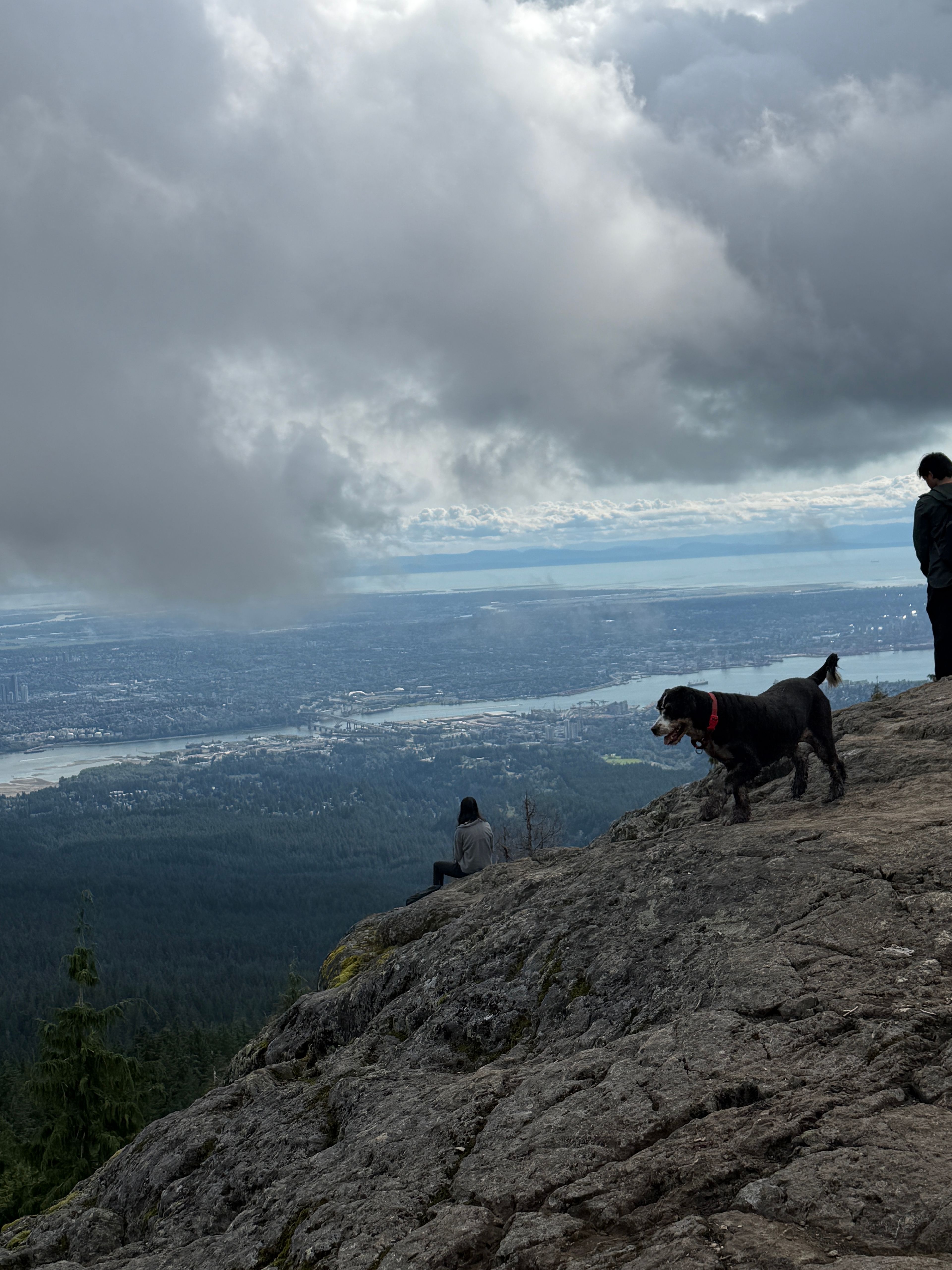 image-12