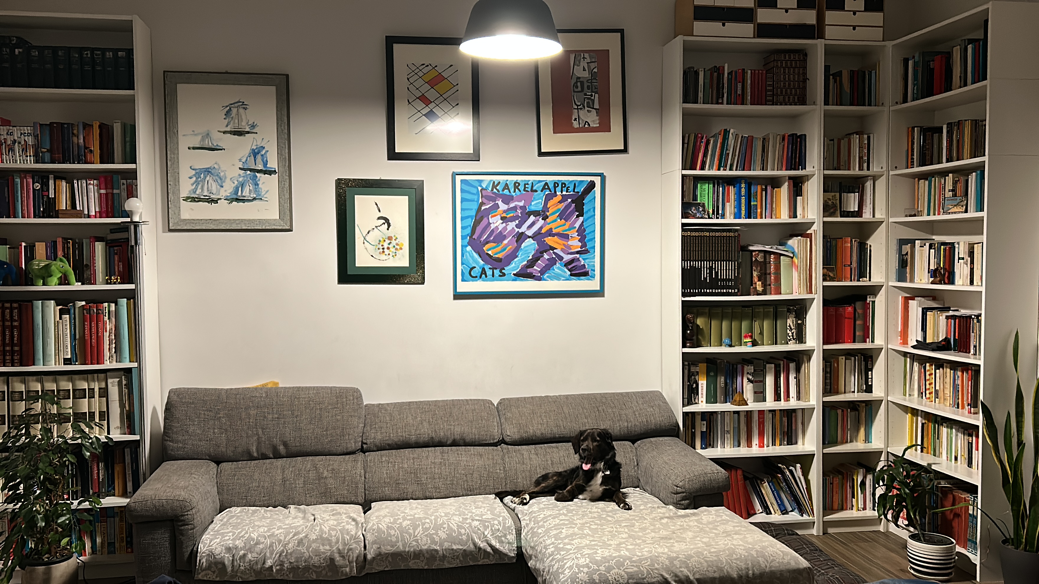 image-5