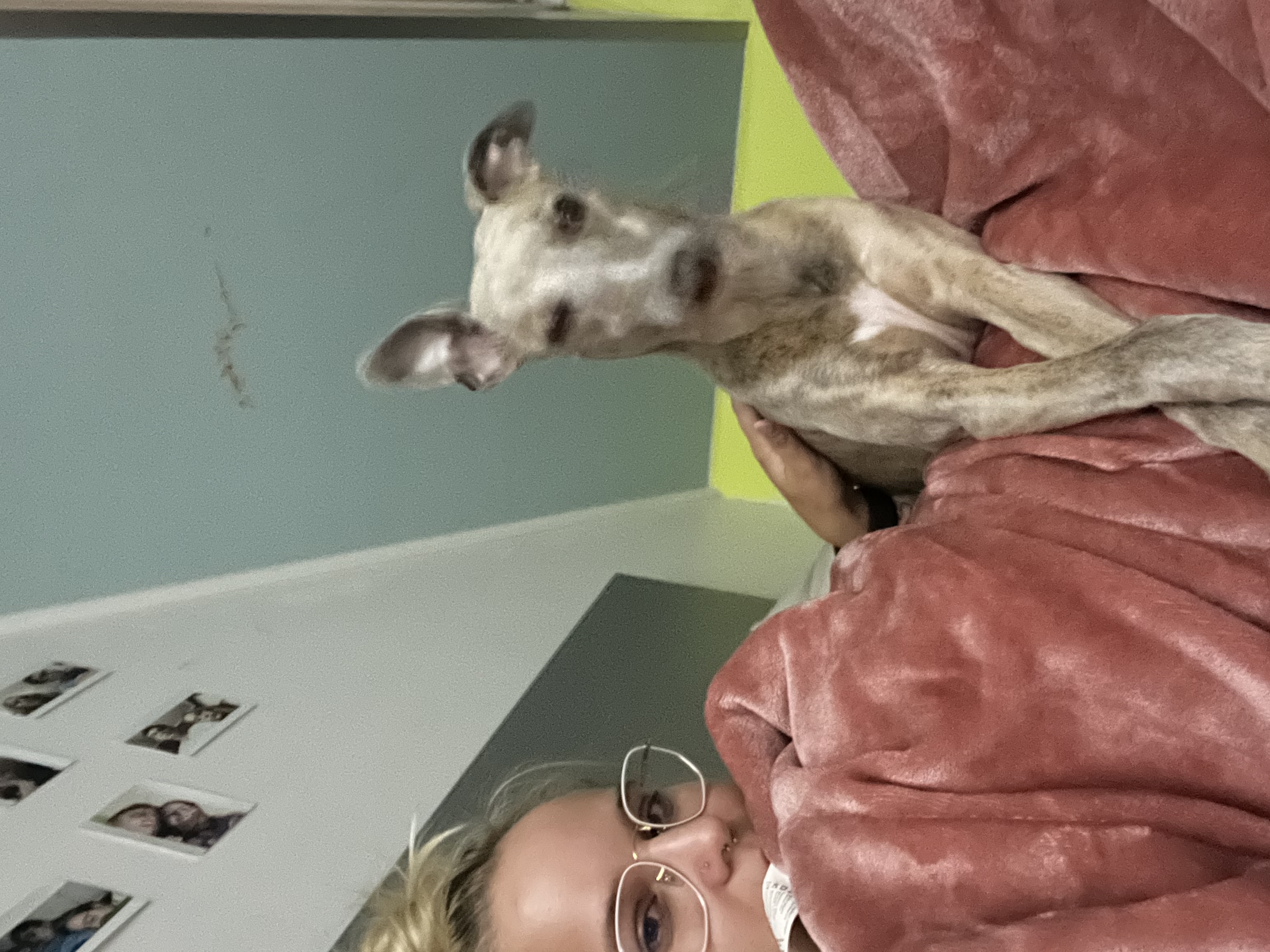 image-9