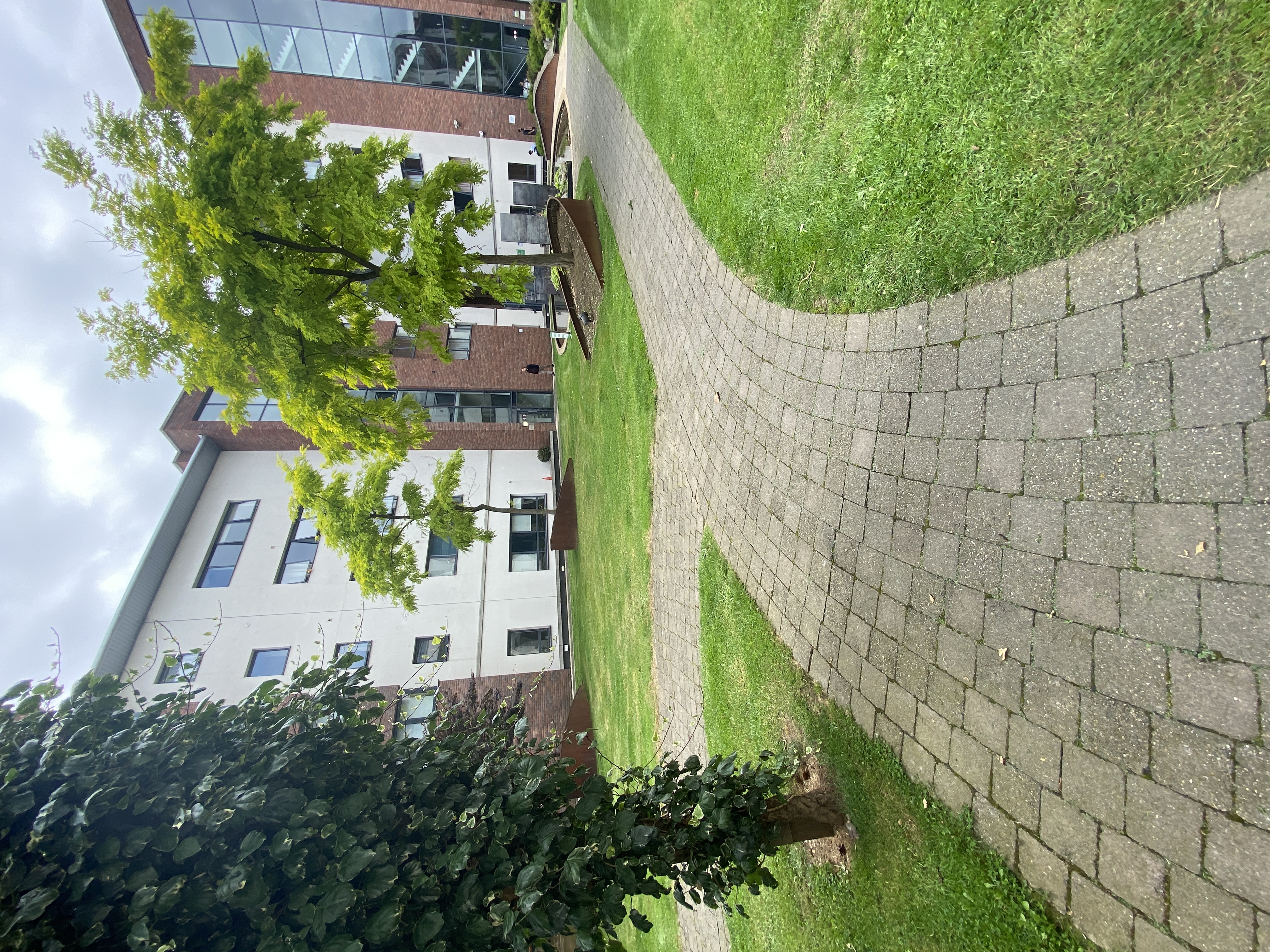 image-16