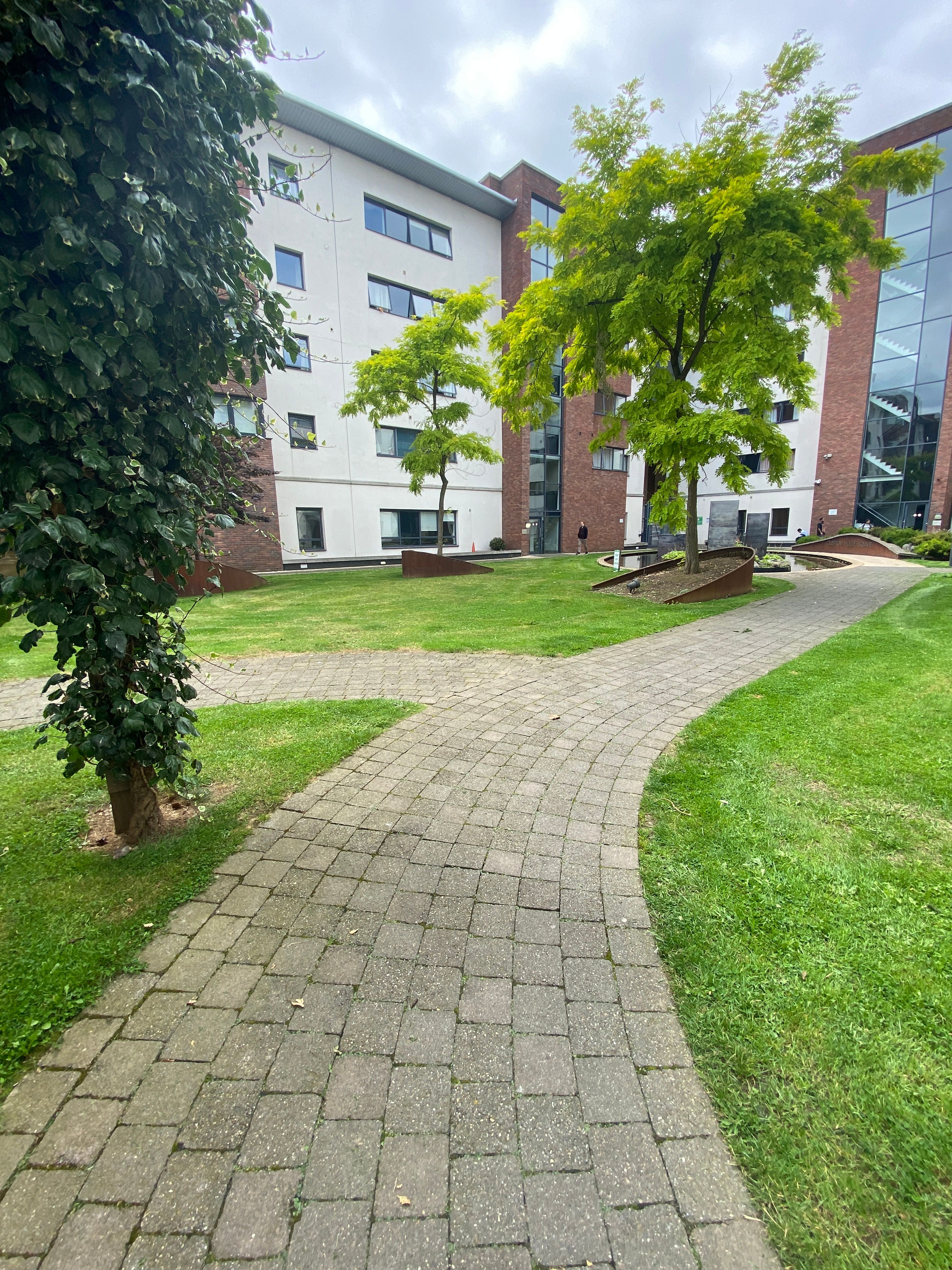 image-16