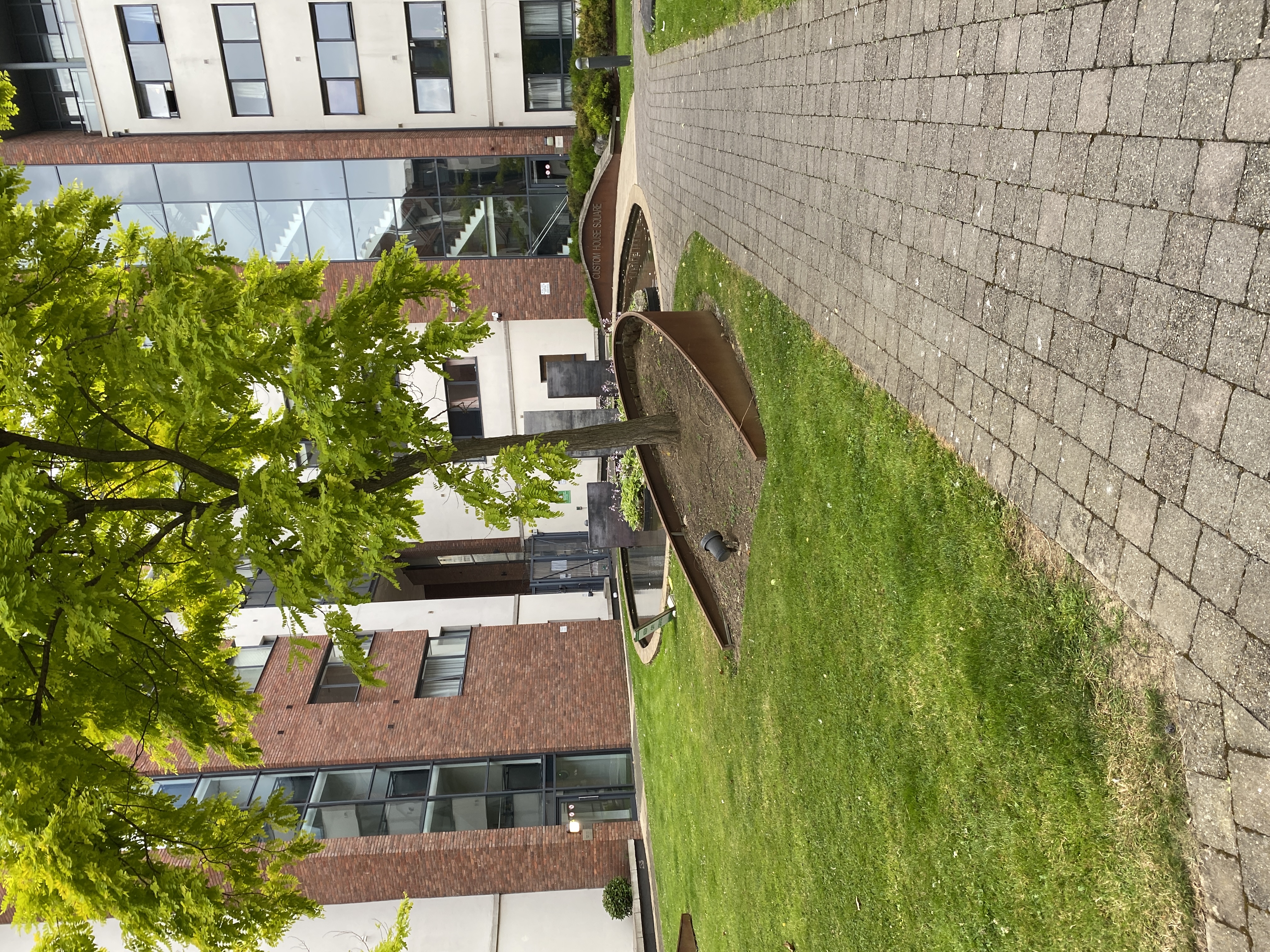 image-21