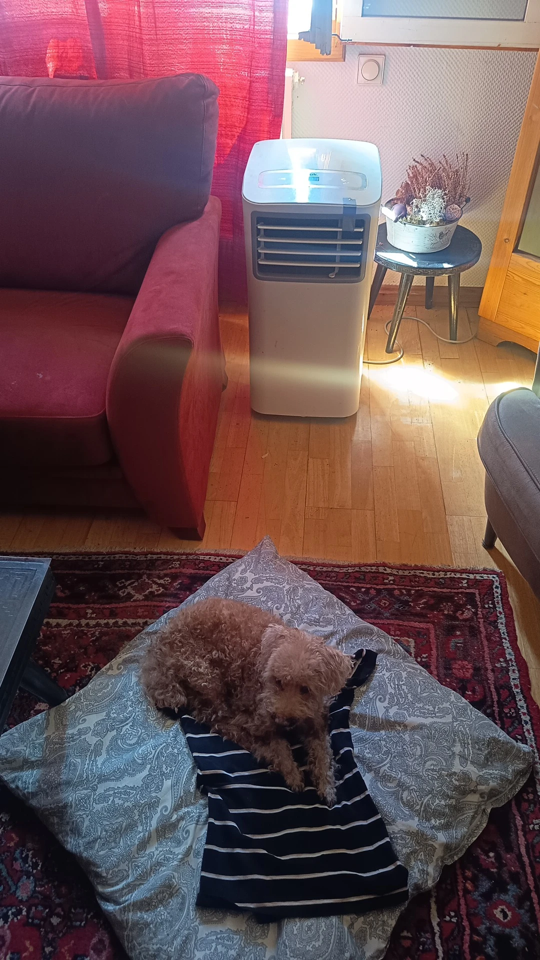 image-13