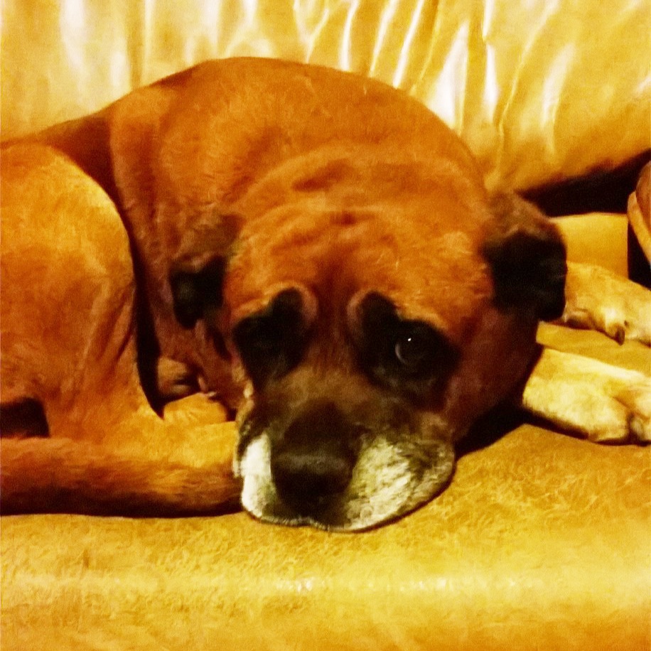 Bruno (deceased)