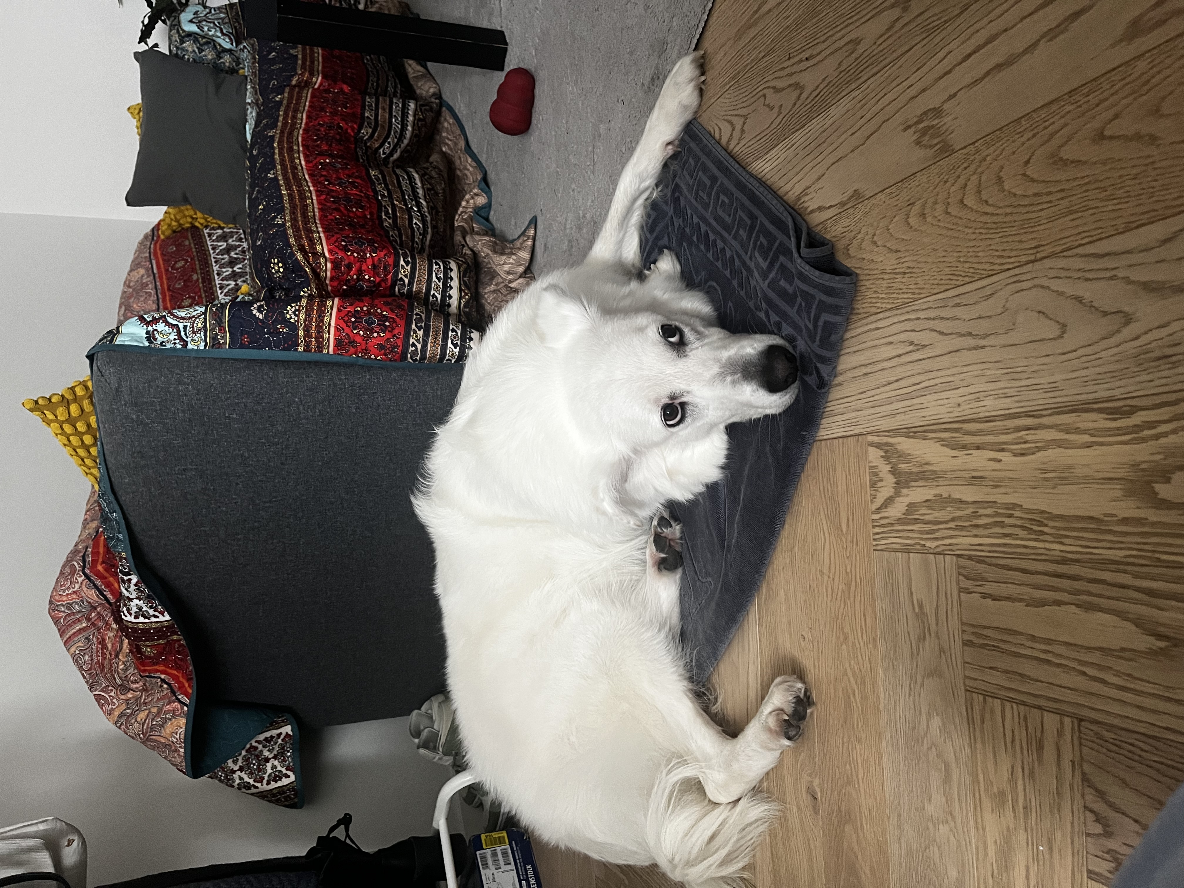 image-19