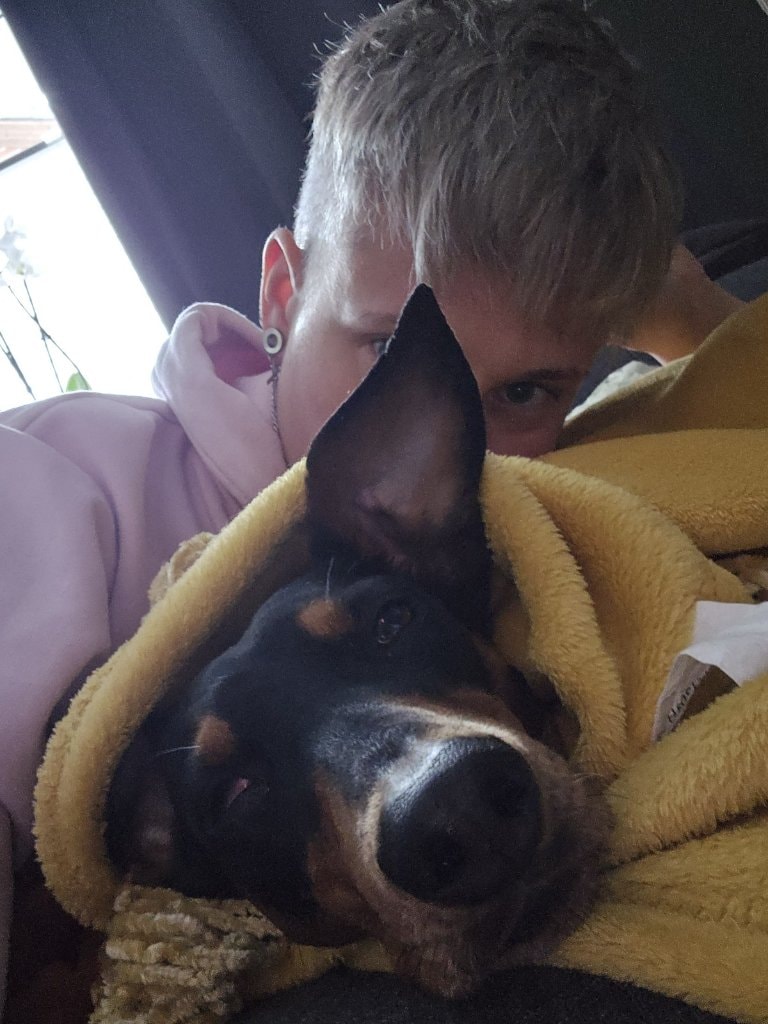 image-8