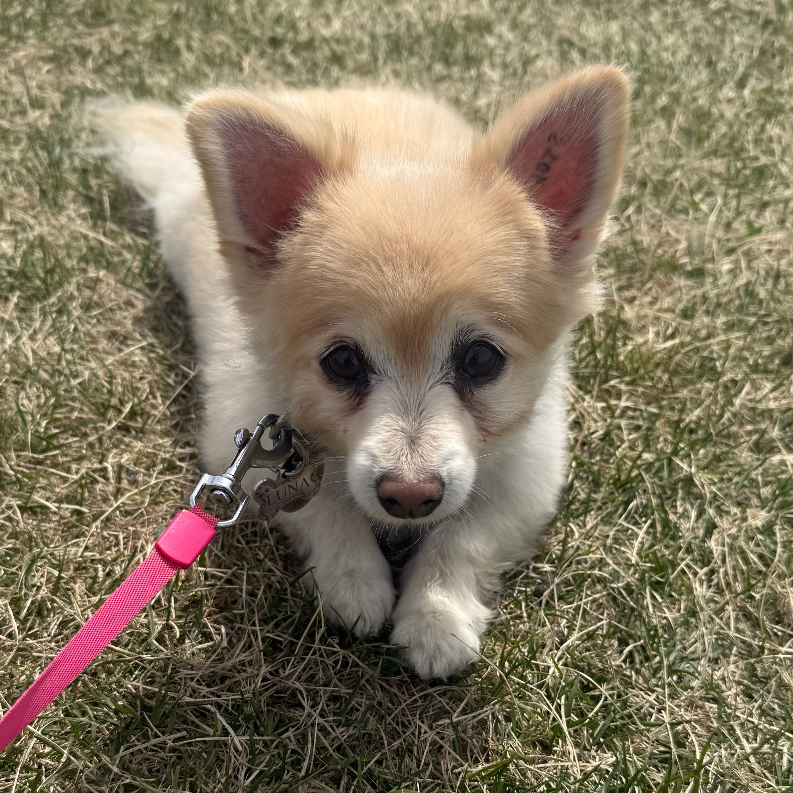 Luna