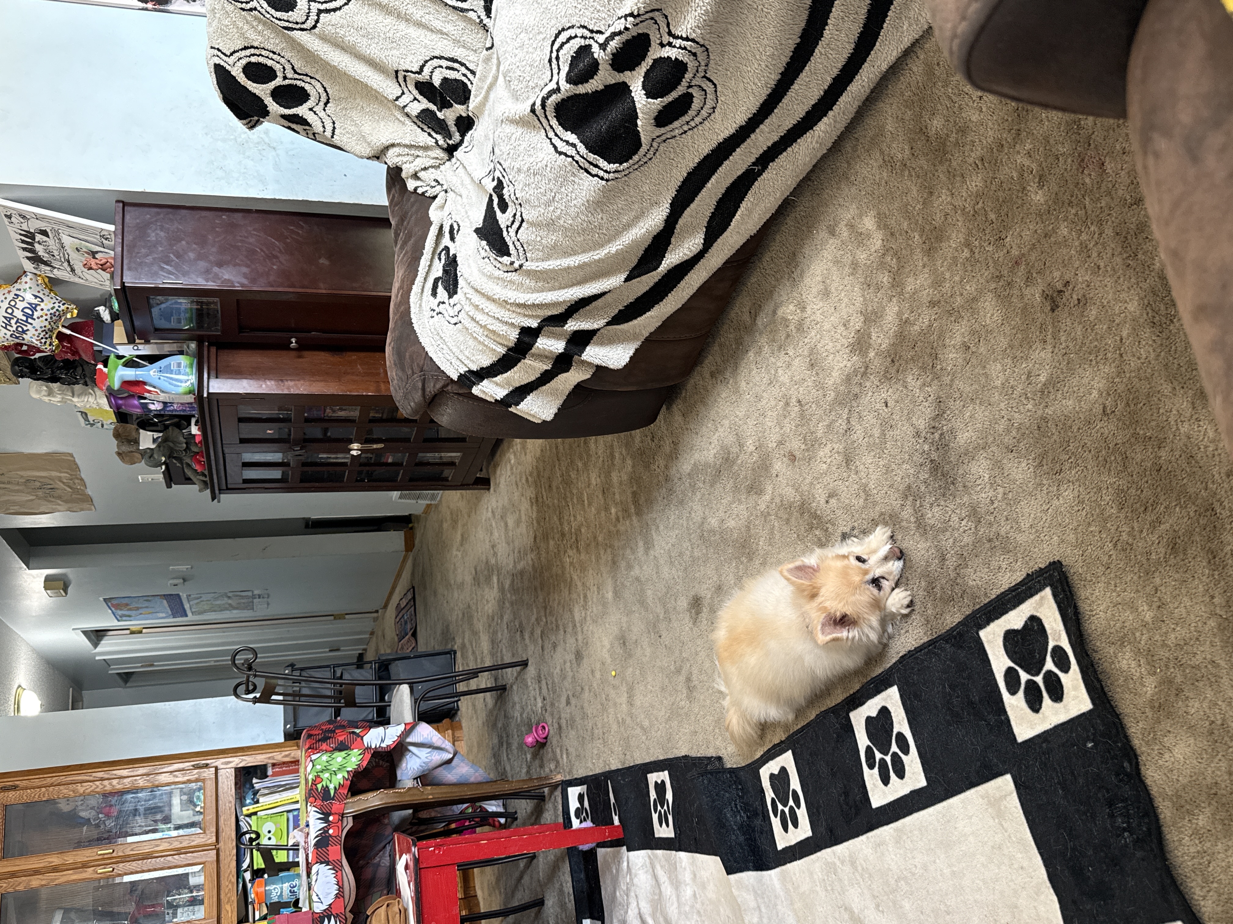 image-10