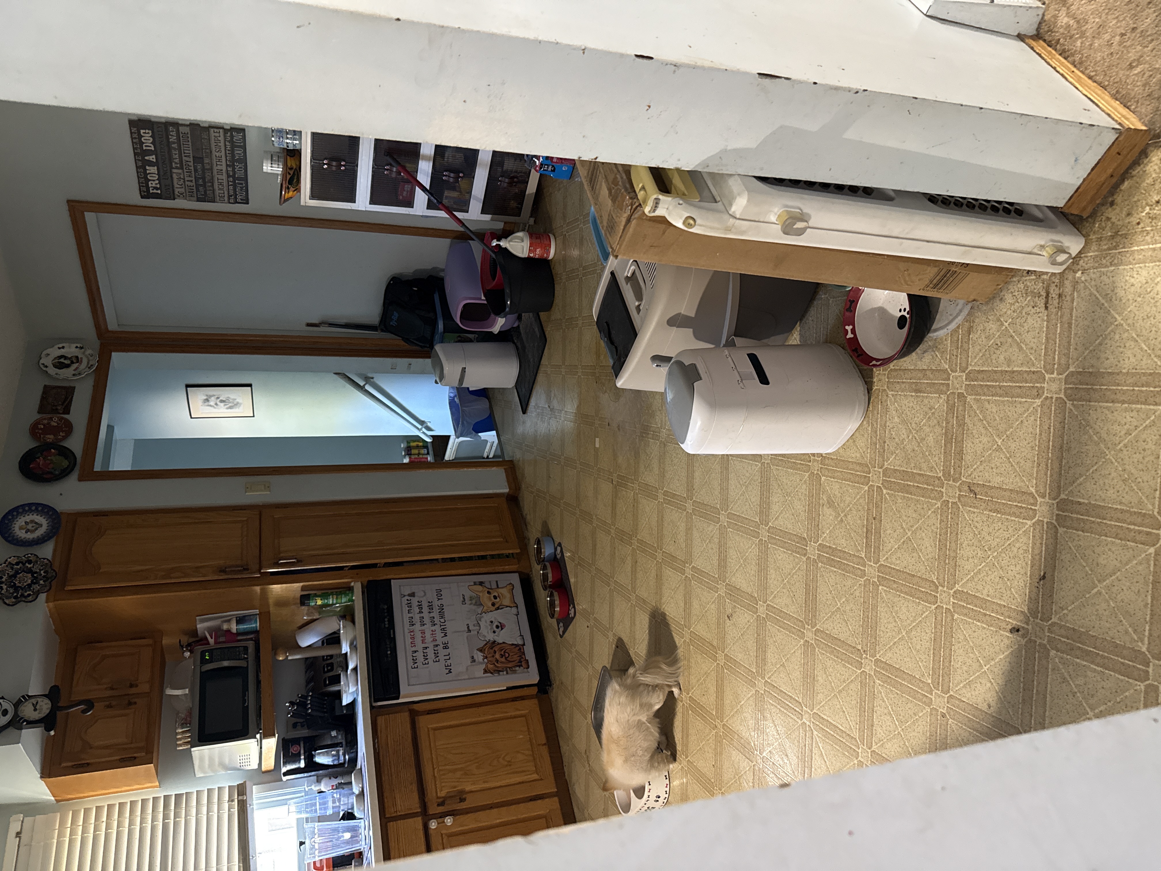 image-14