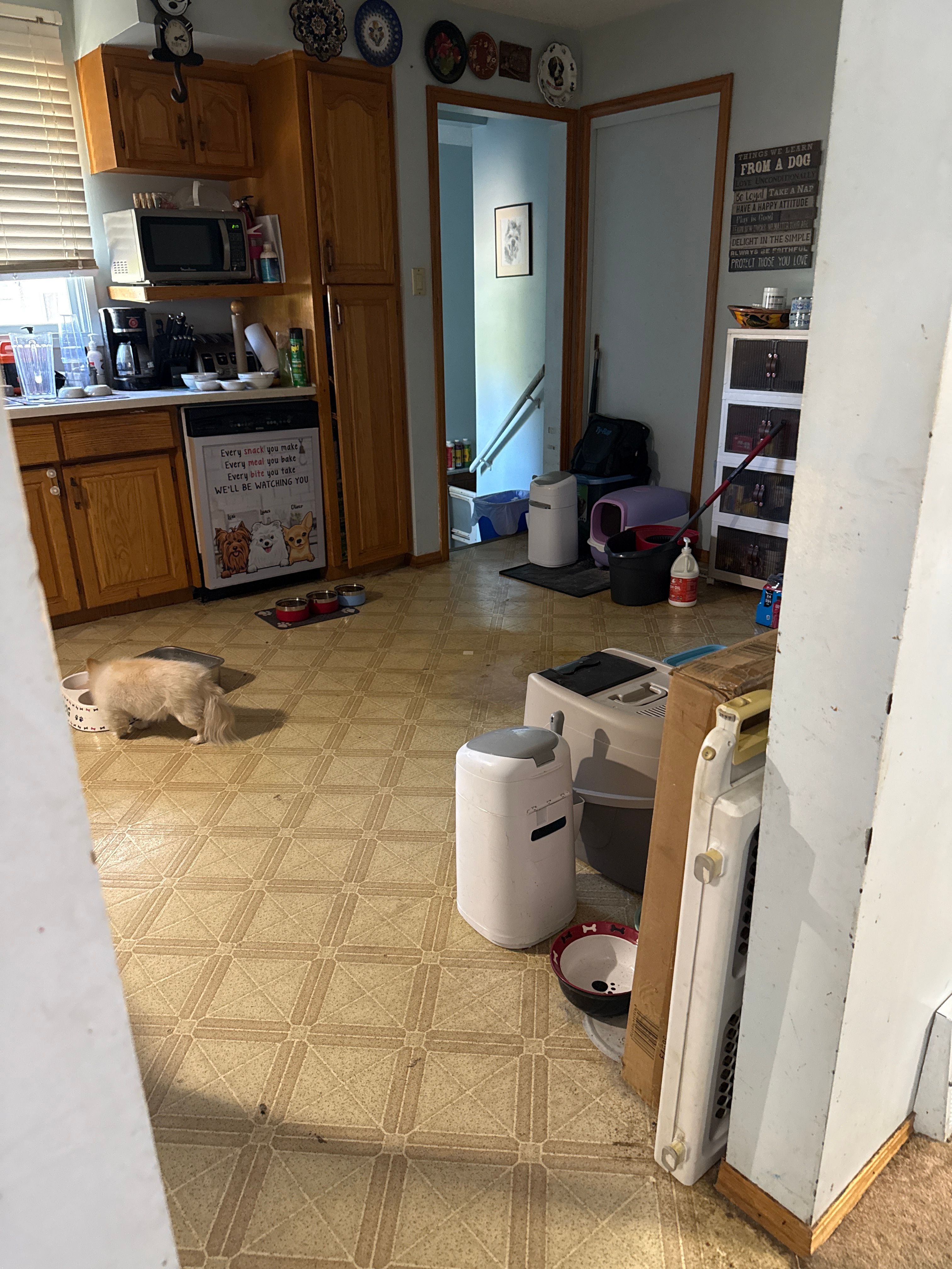 image-14