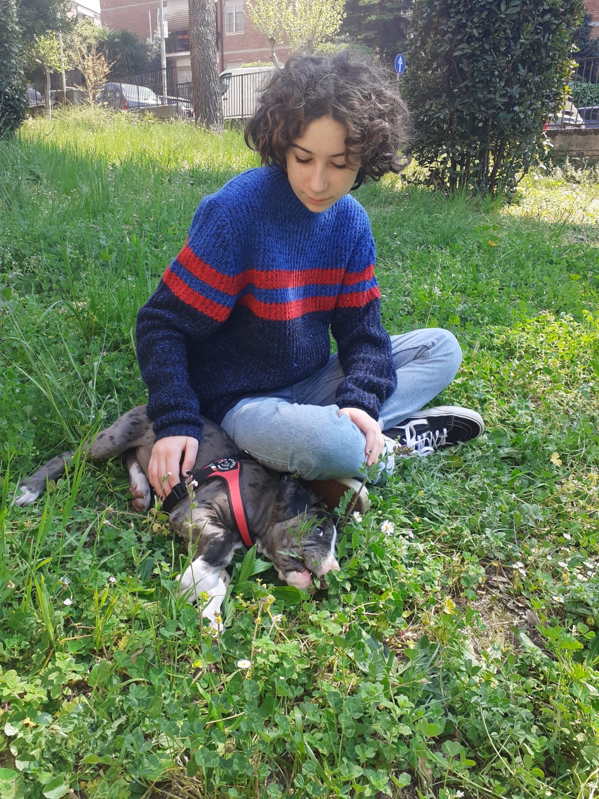 image-10