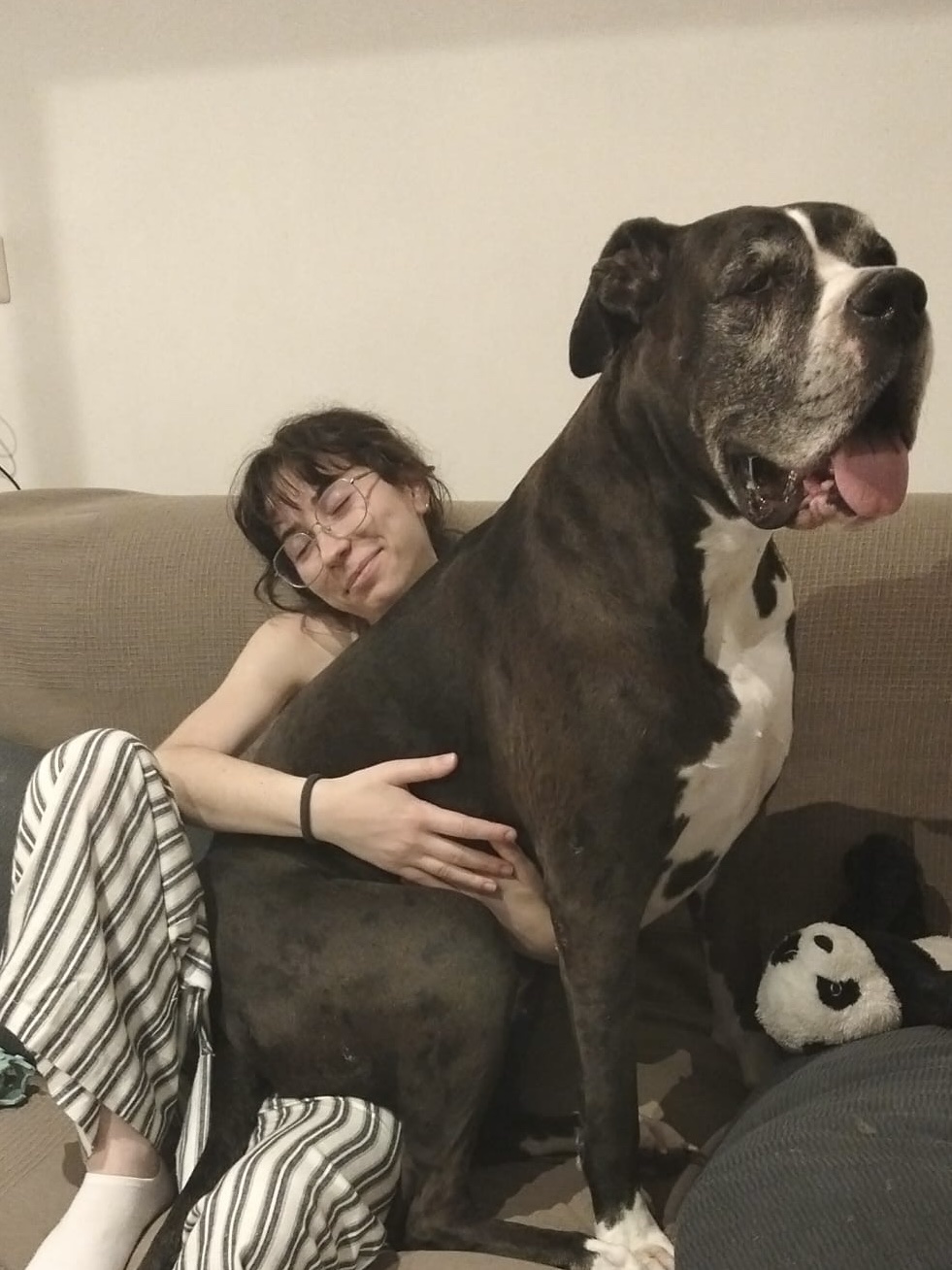 image-5