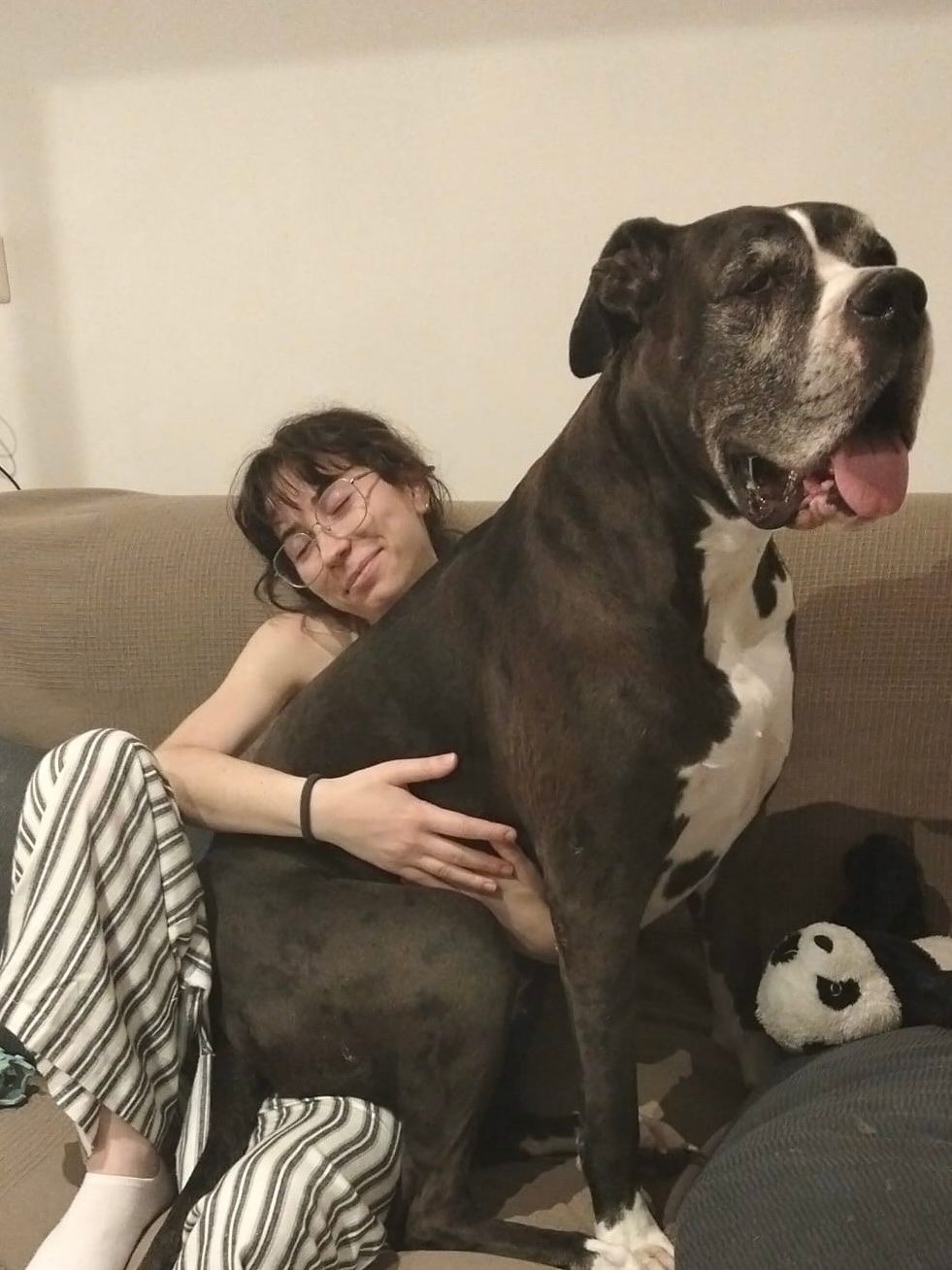 image-5