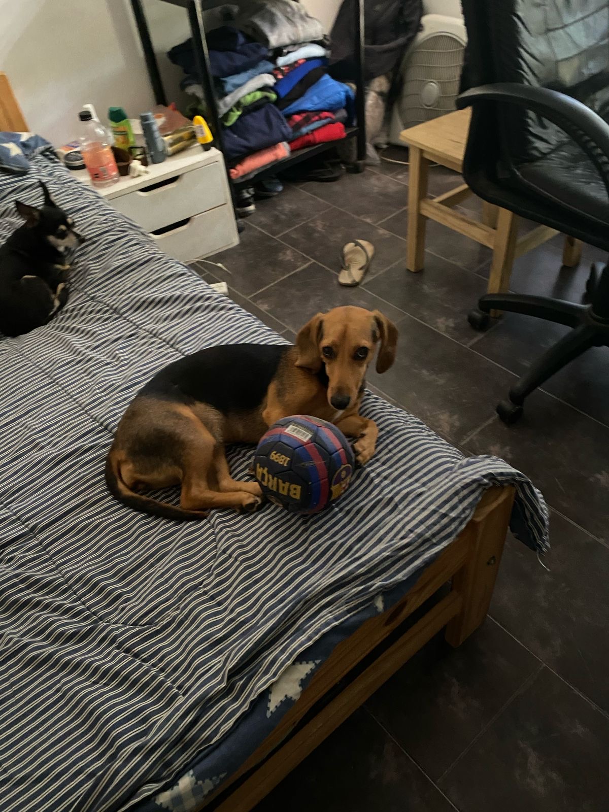 image-10