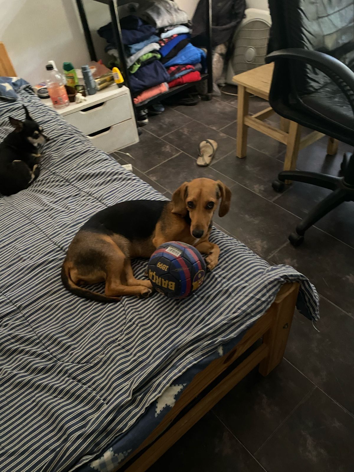 image-10