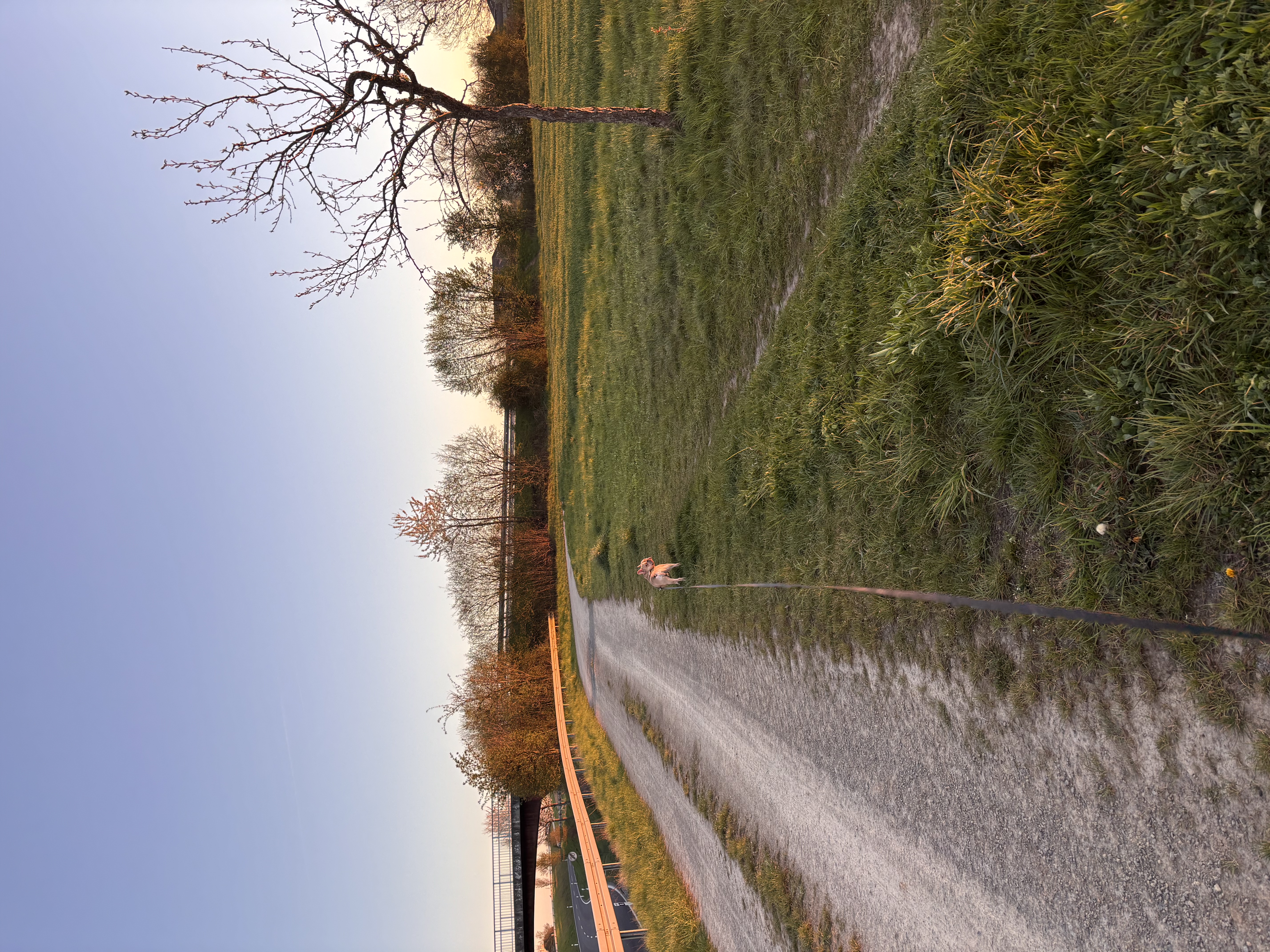 image-17