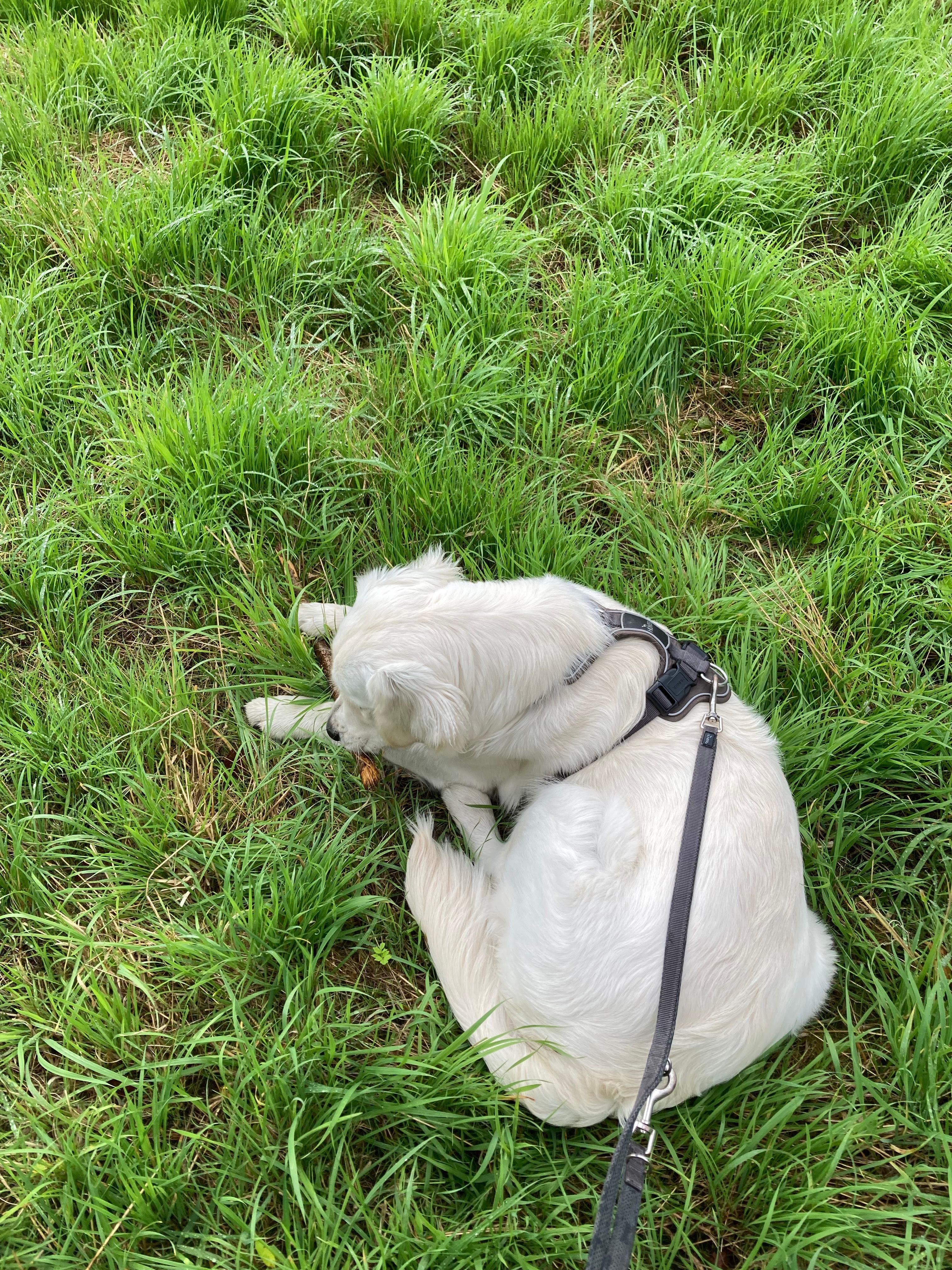 image-7