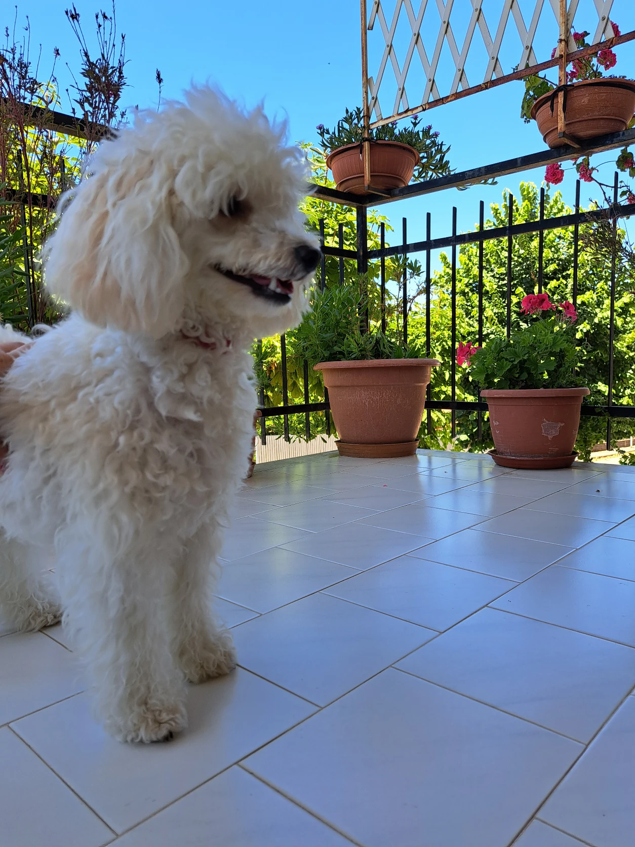 image-12