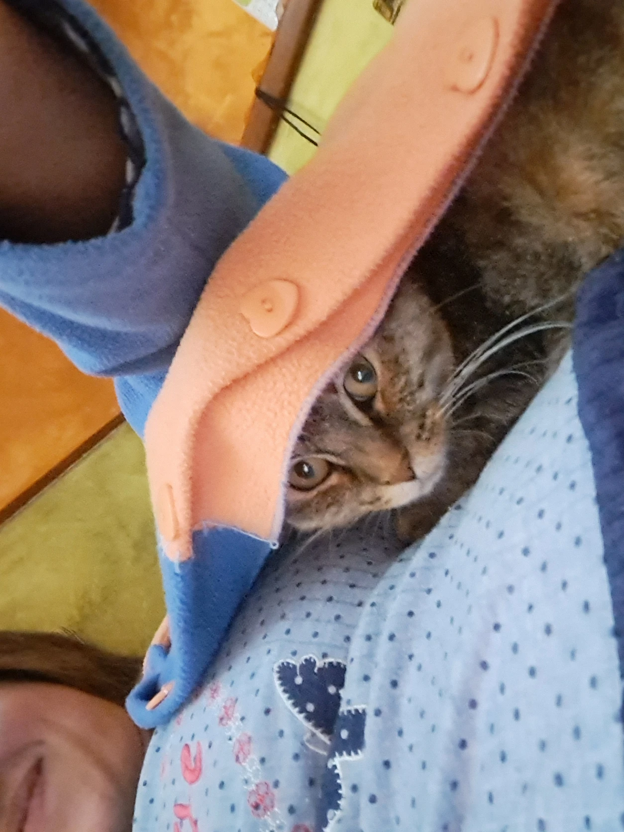 image-7
