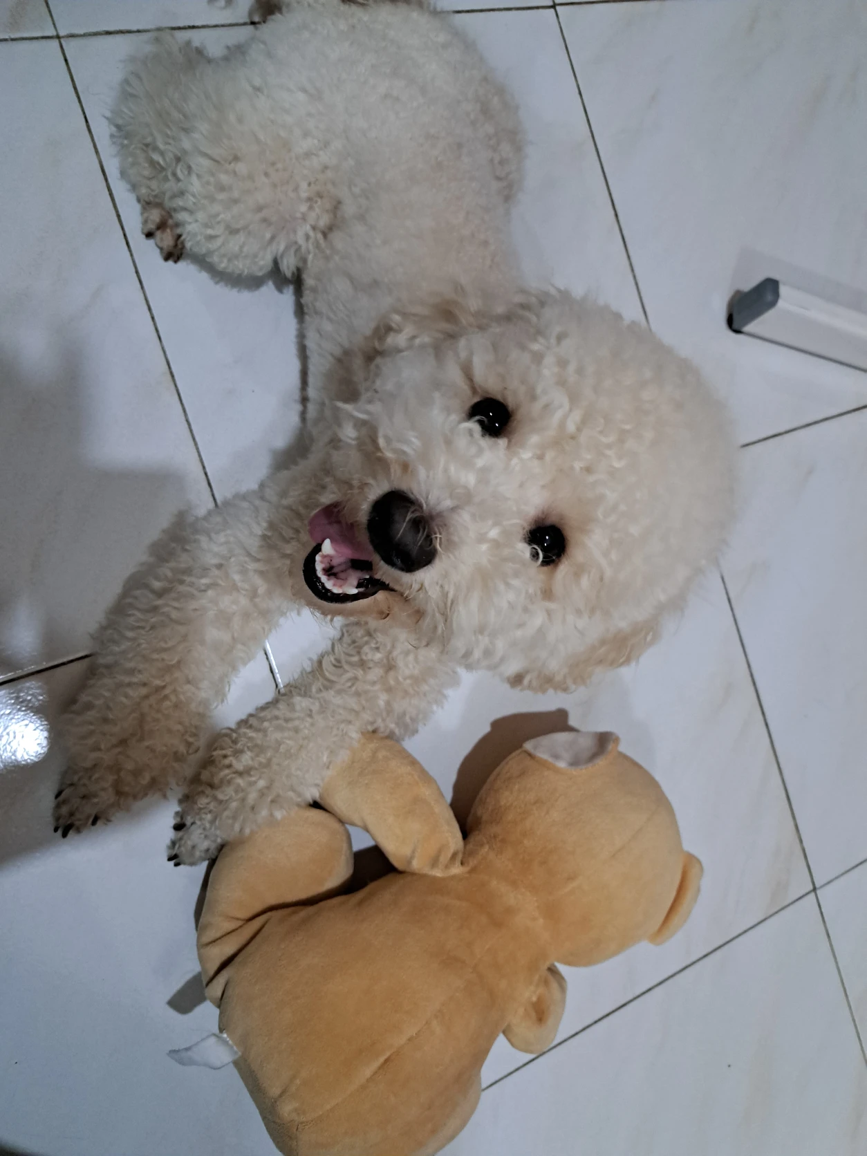 image-11