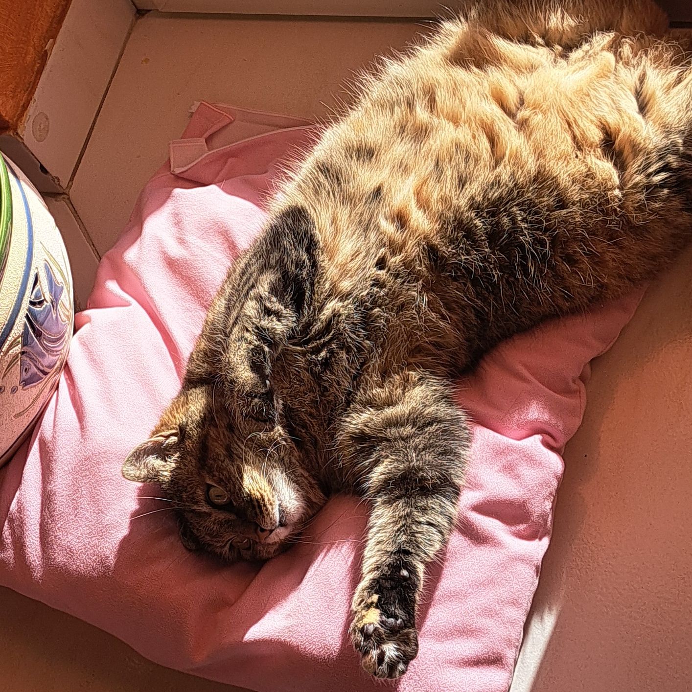 Mimì