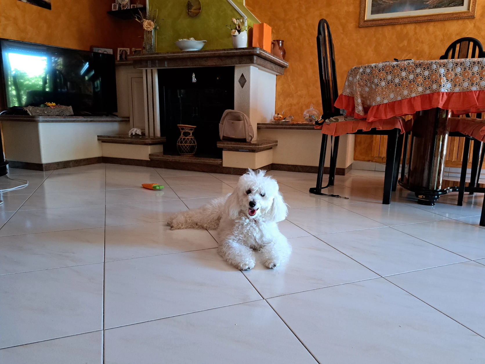 image-11