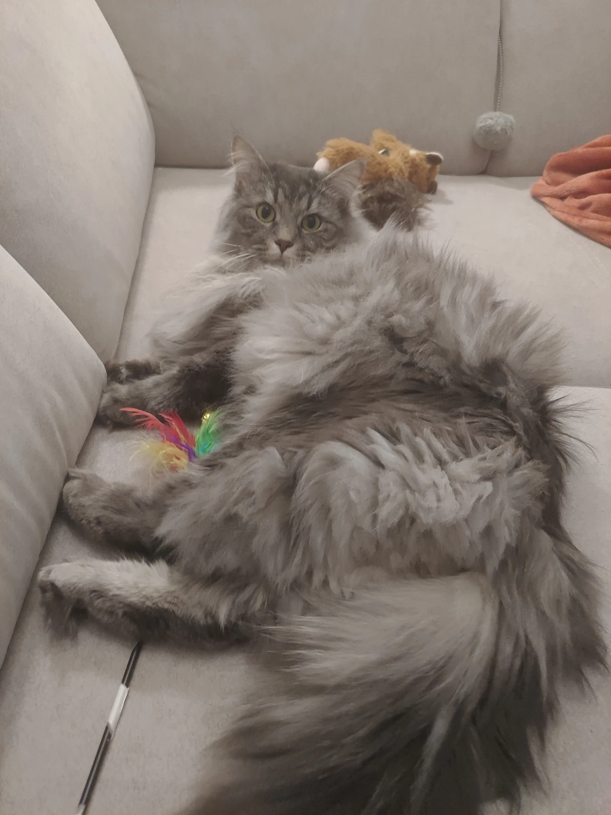 image-6