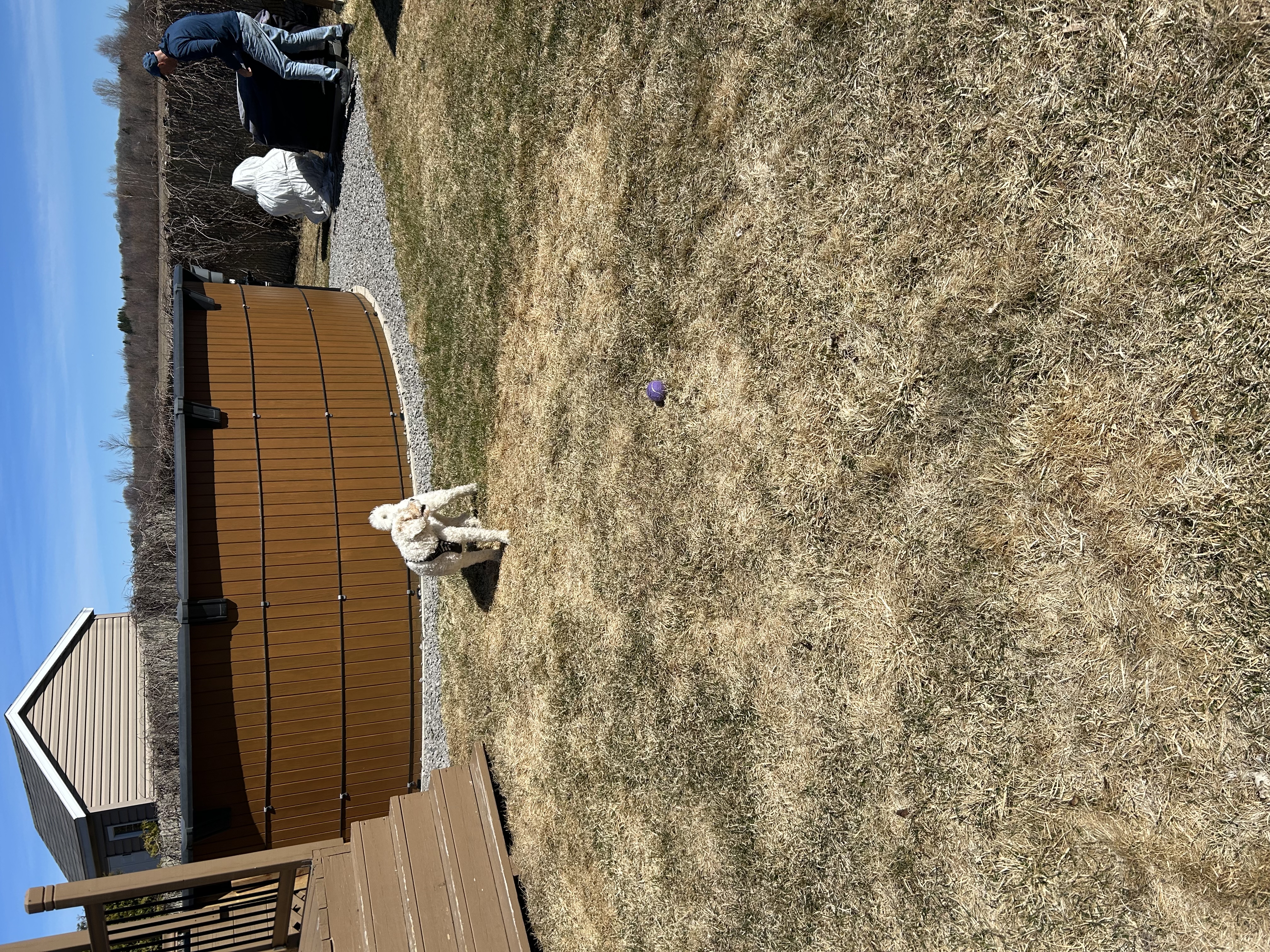 image-15