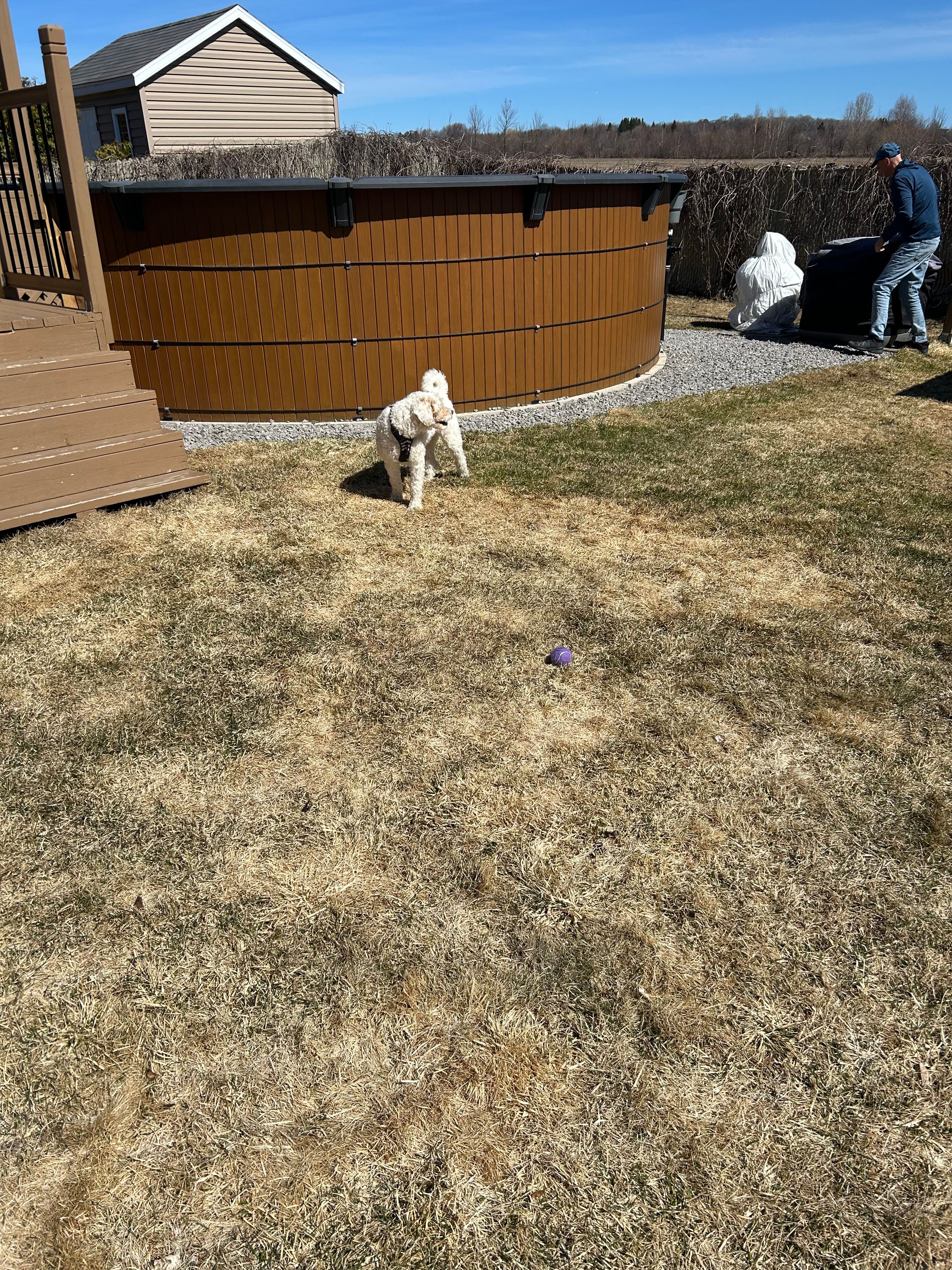 image-15