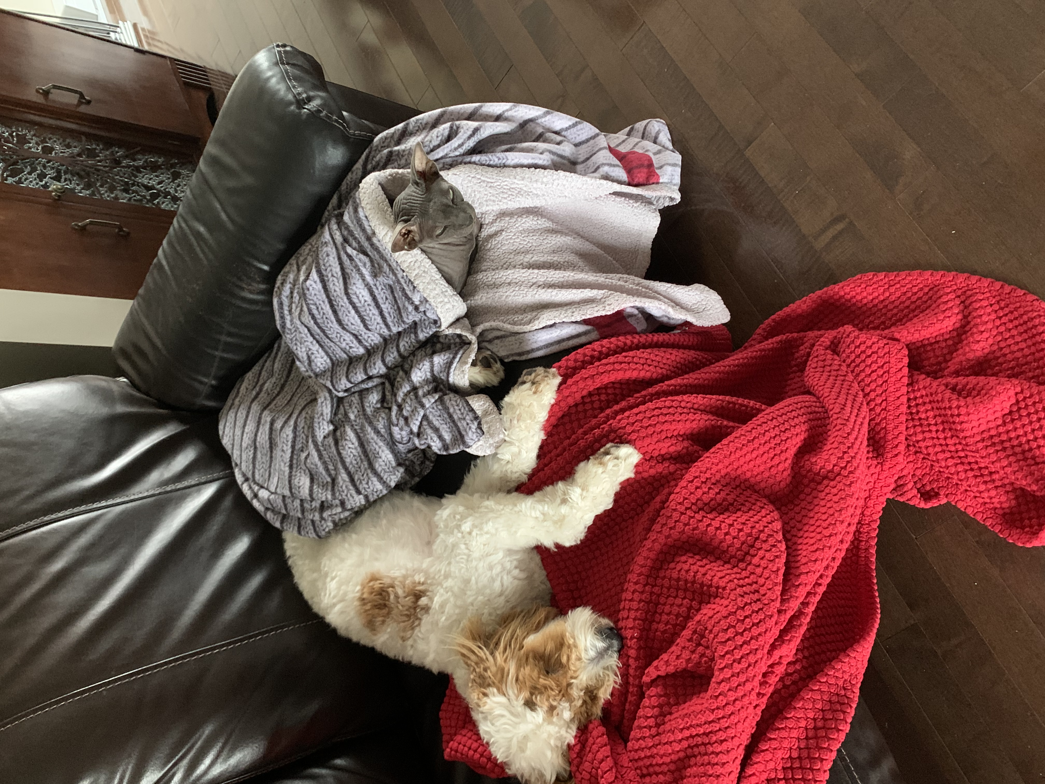 image-7
