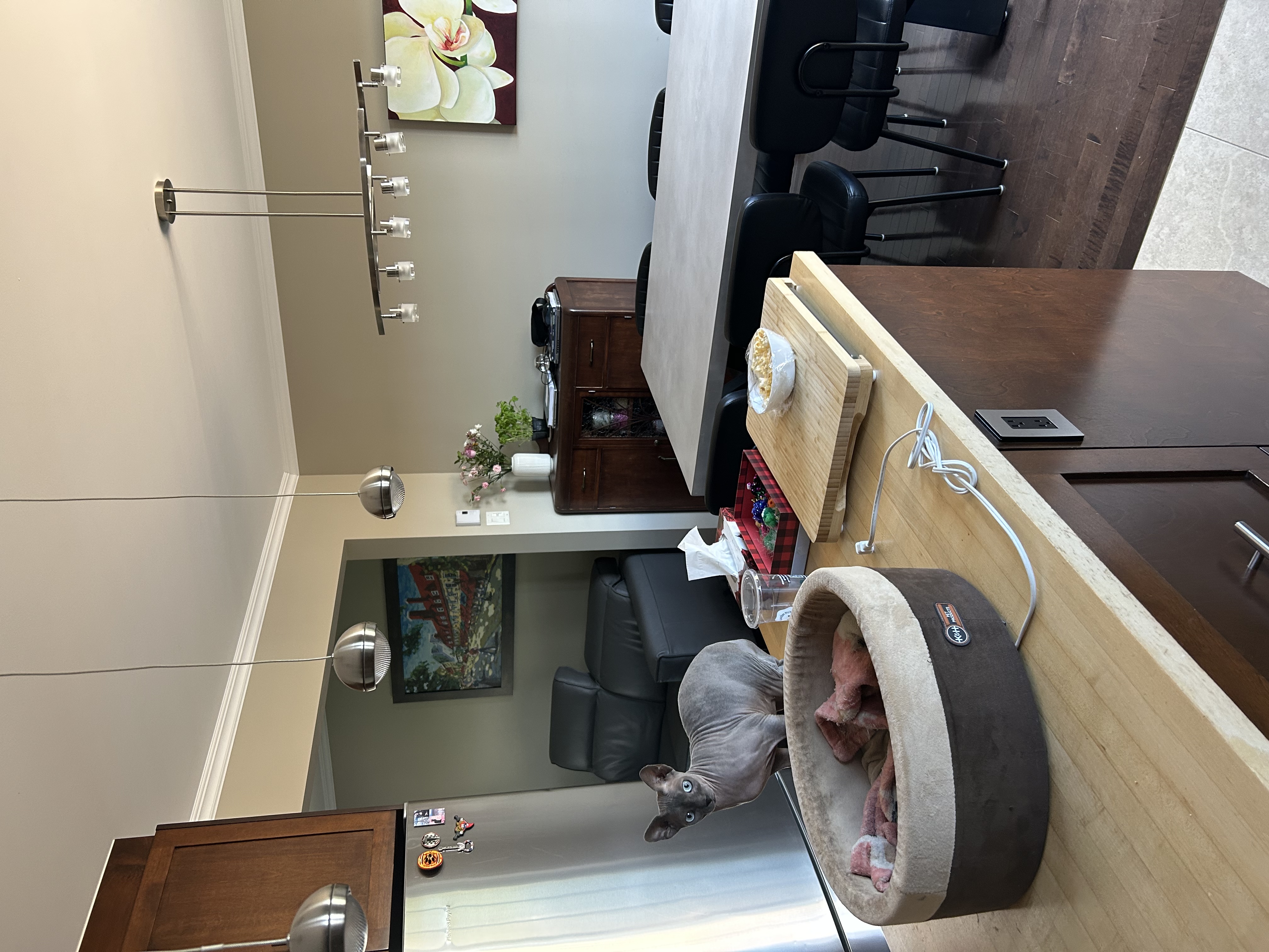 image-19