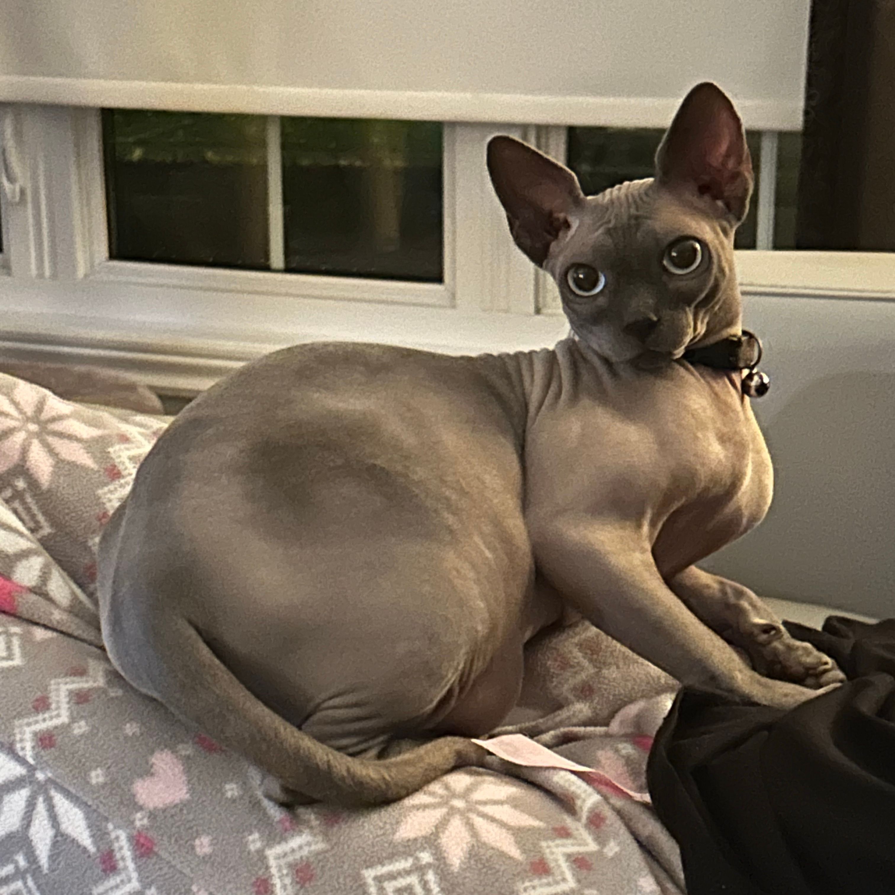 Paul