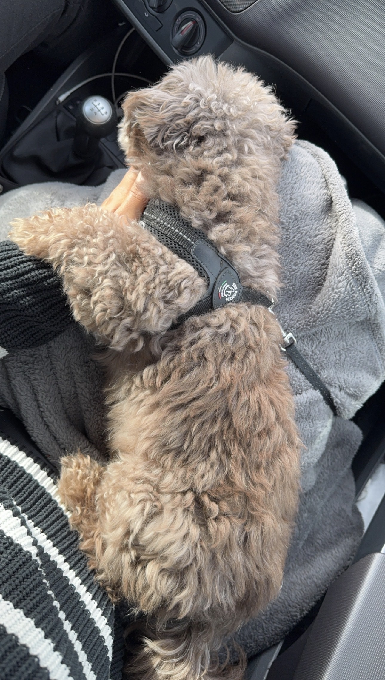 image-6