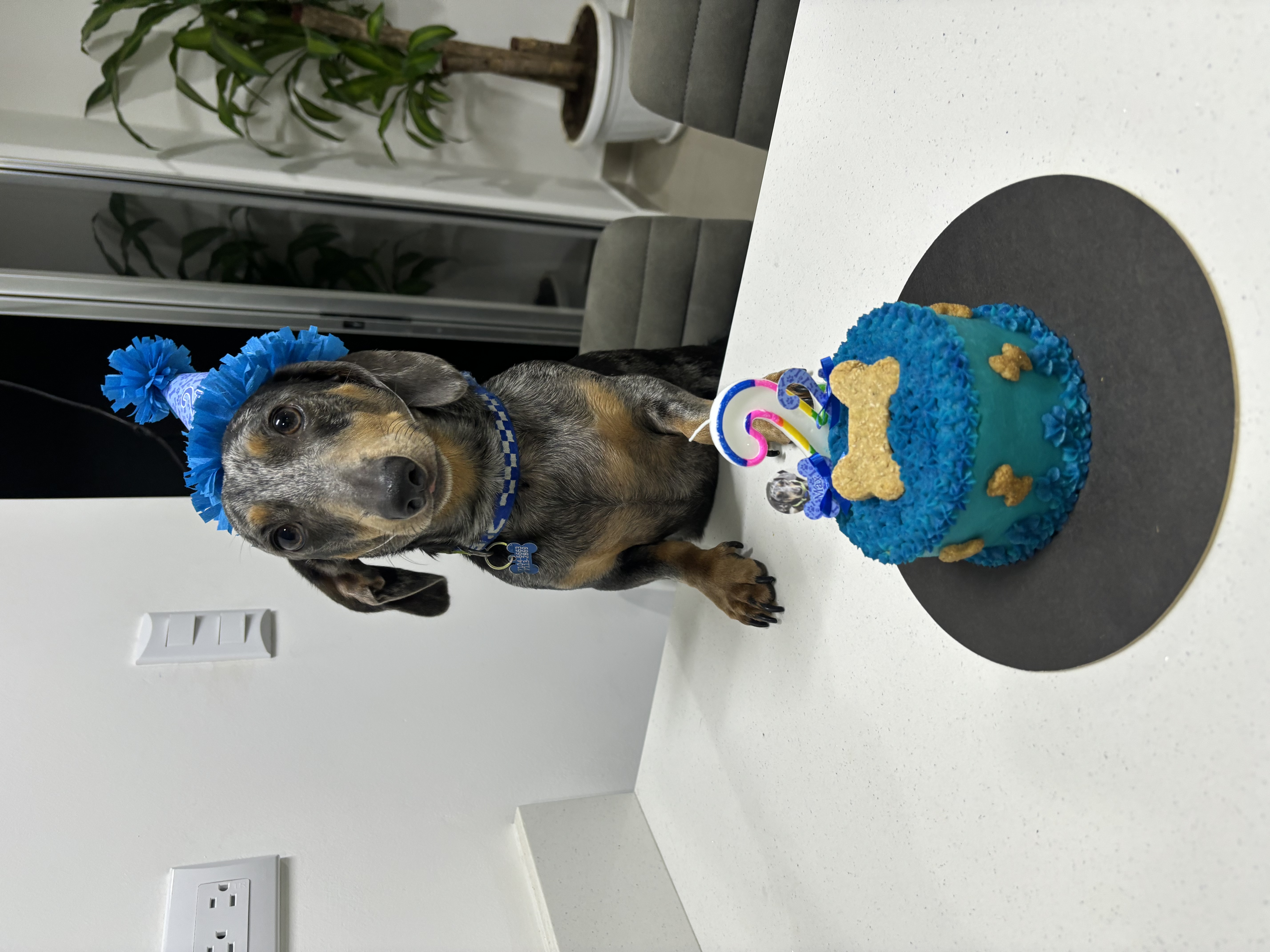 image-16