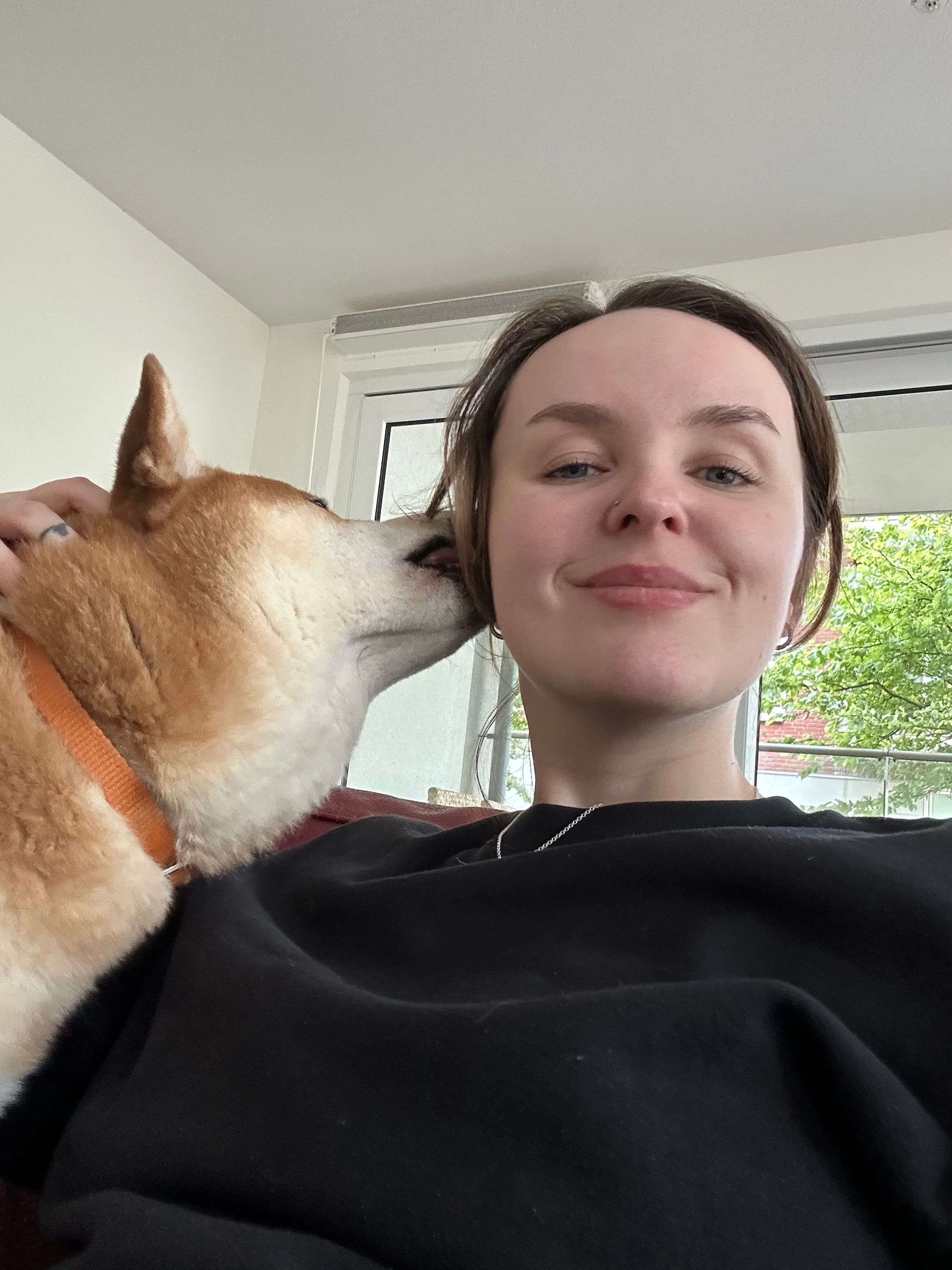 image-9