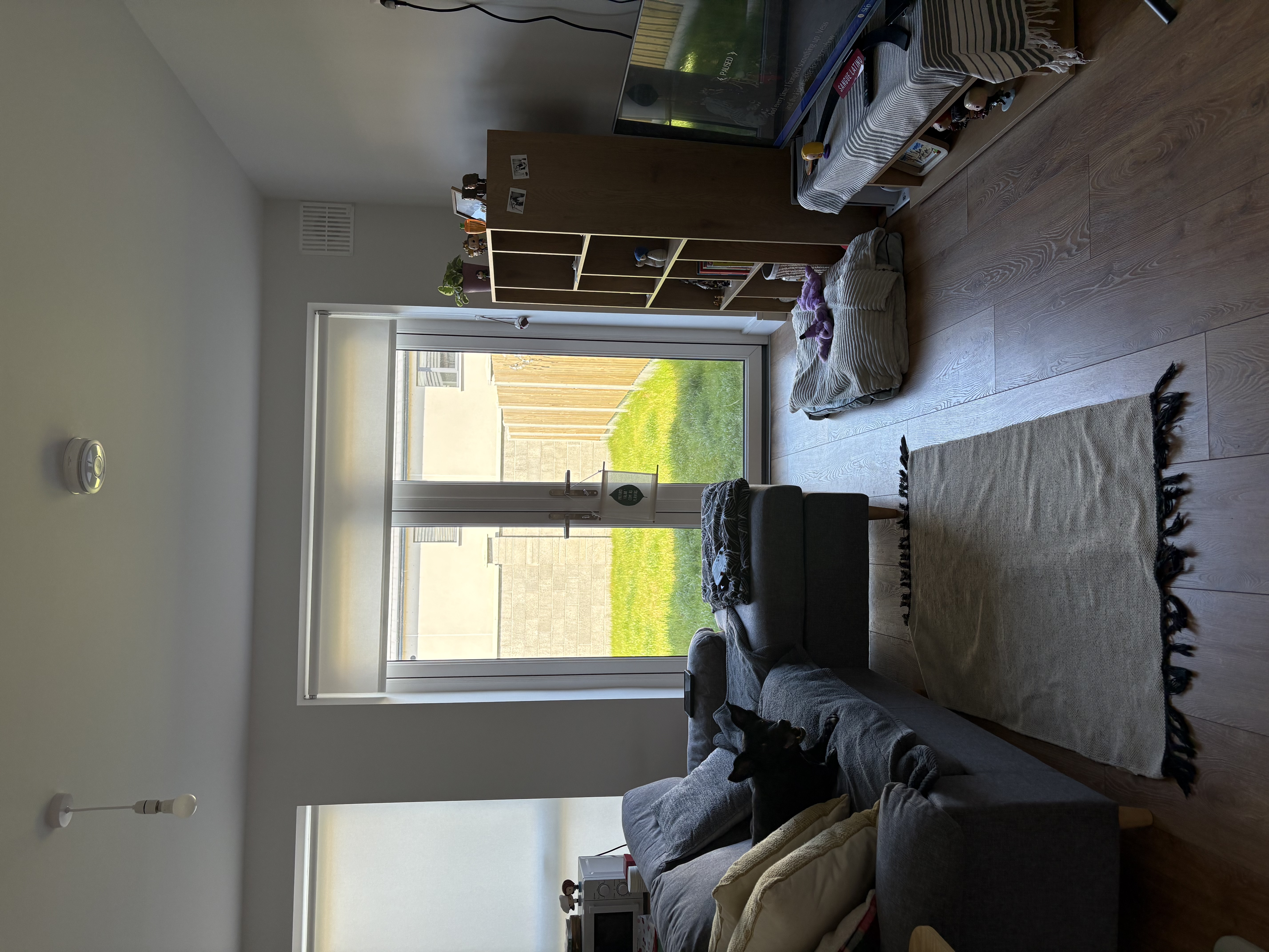 image-8