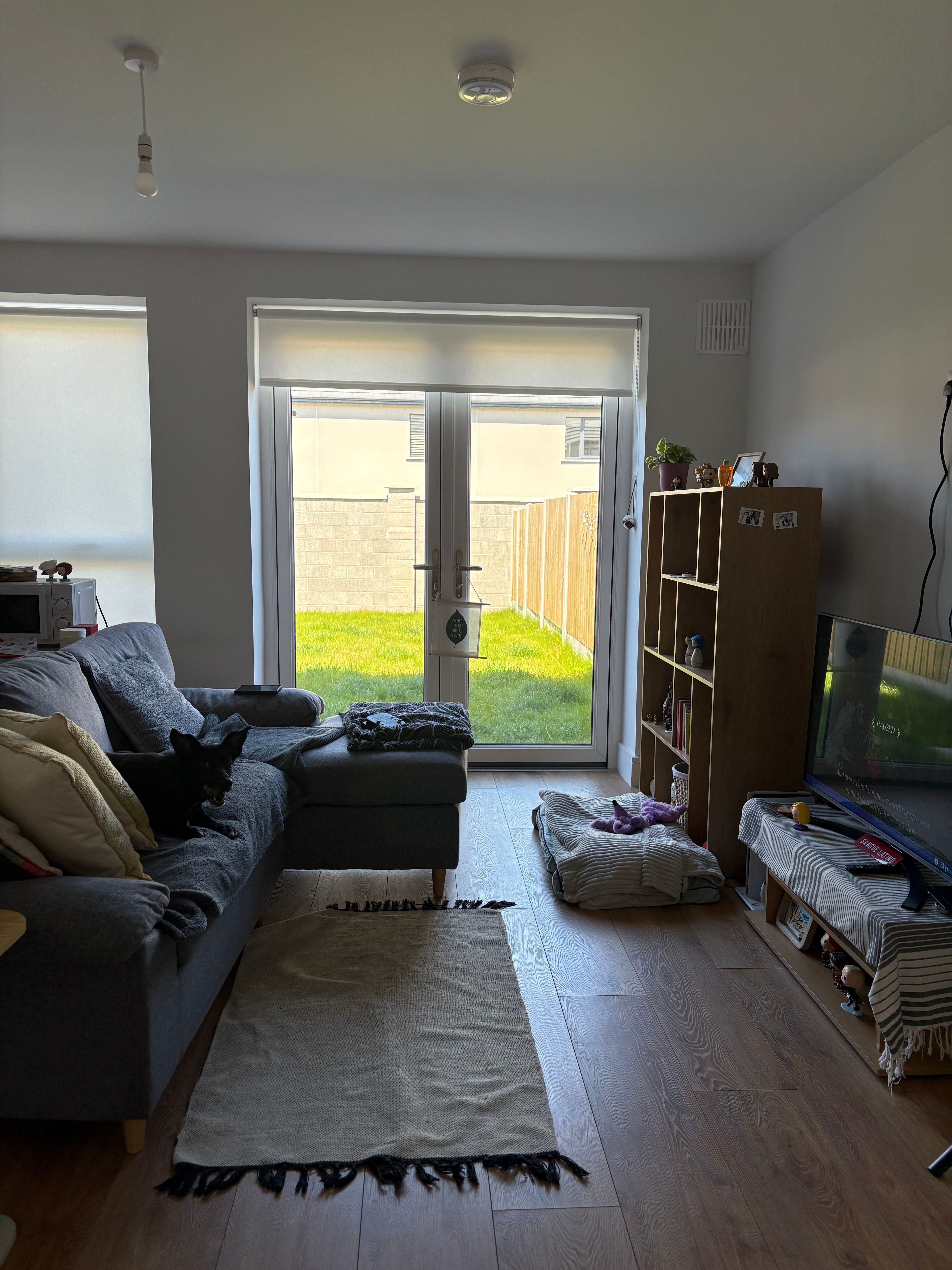 image-8