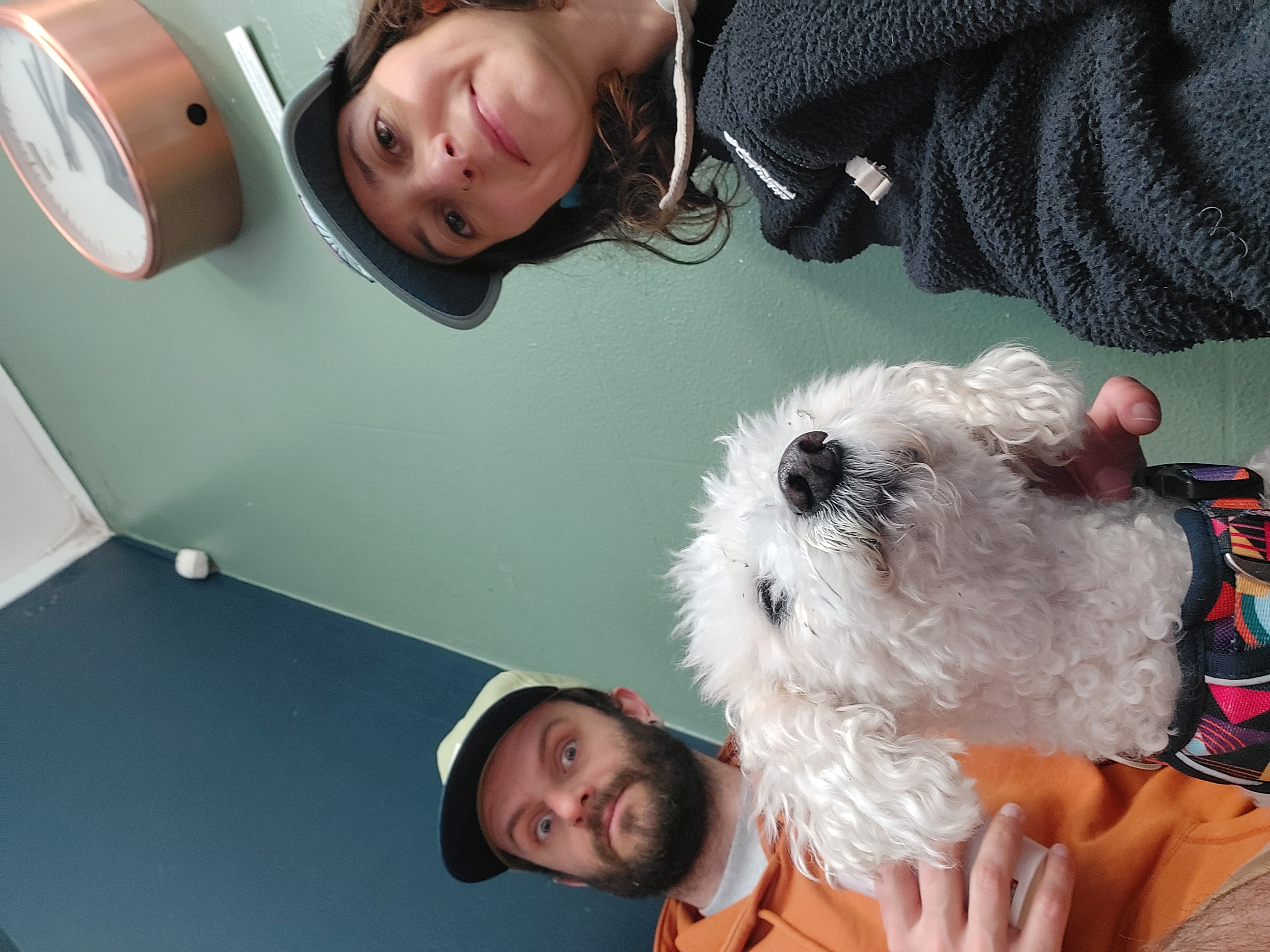 image-8