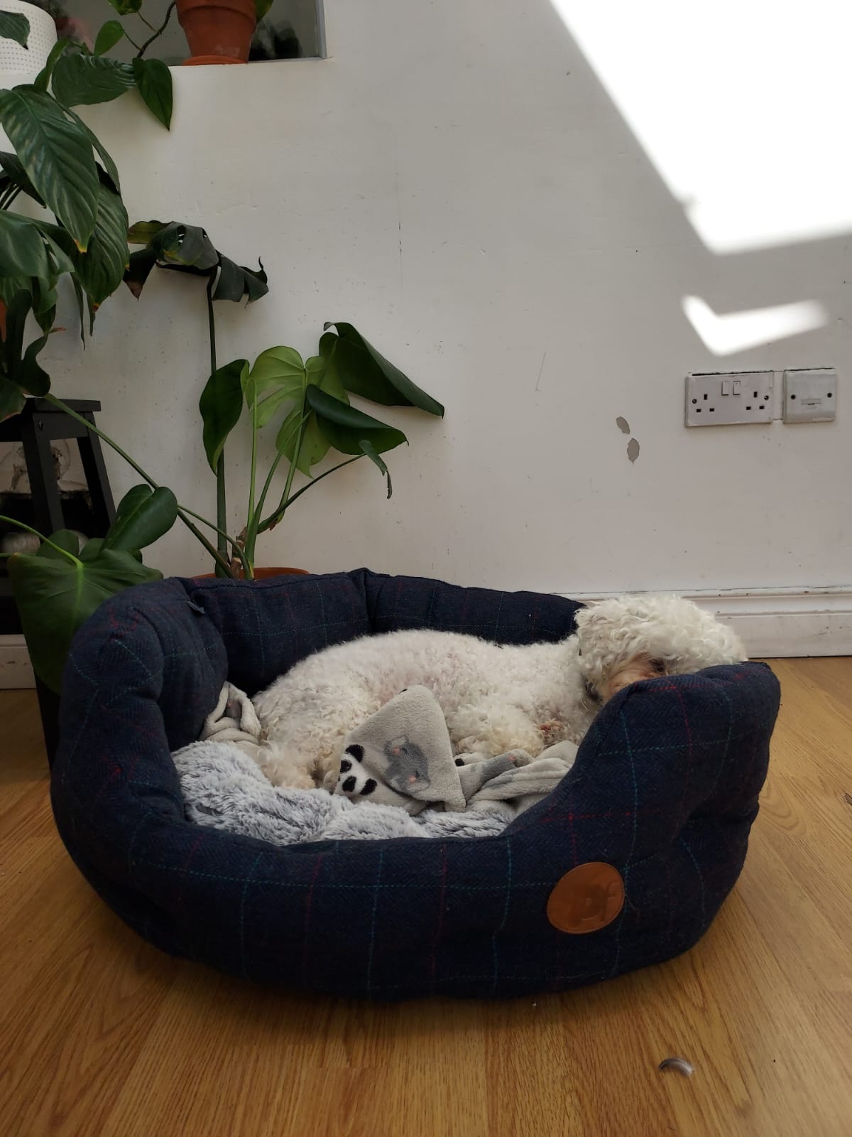 image-10