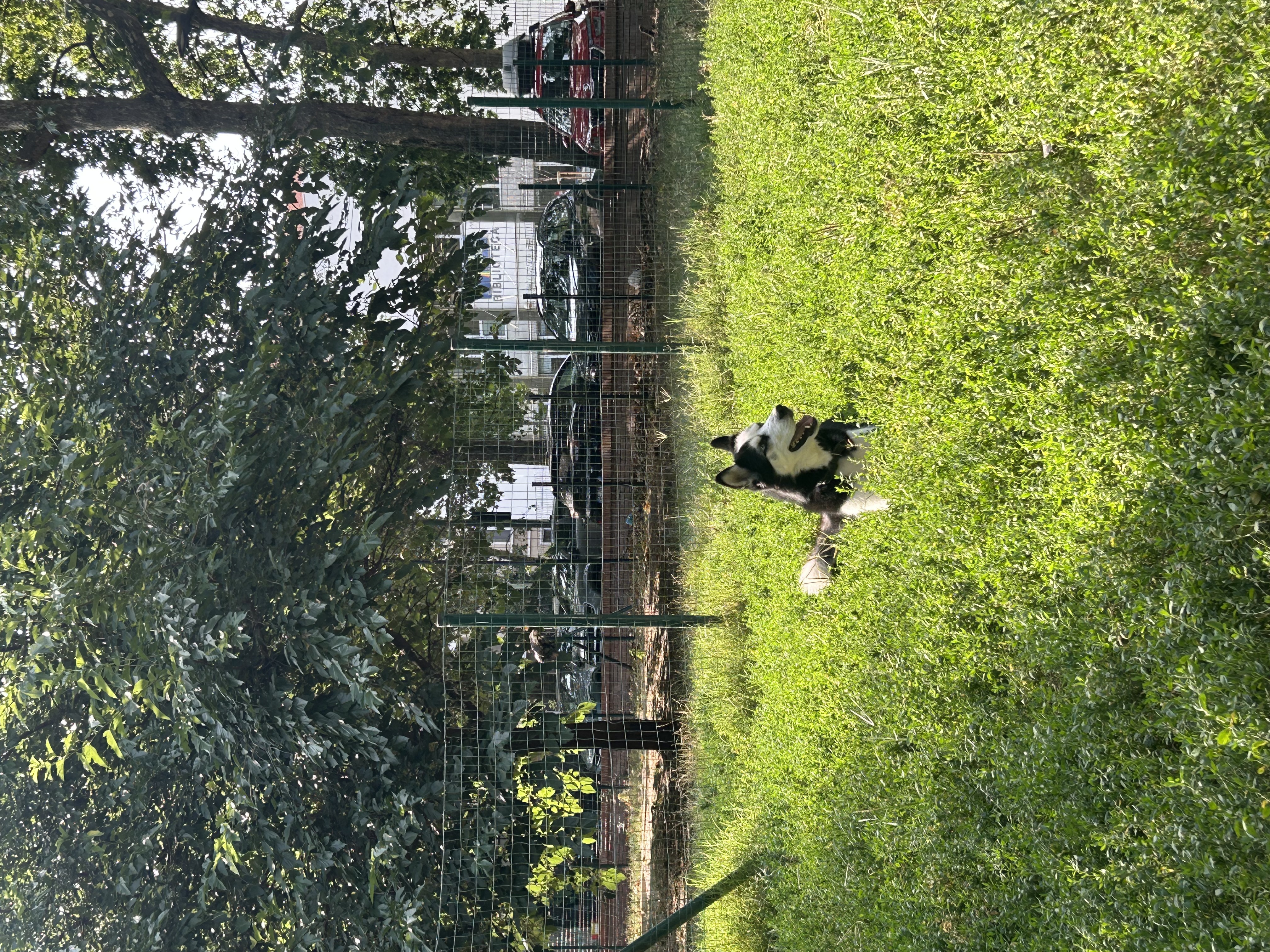image-8