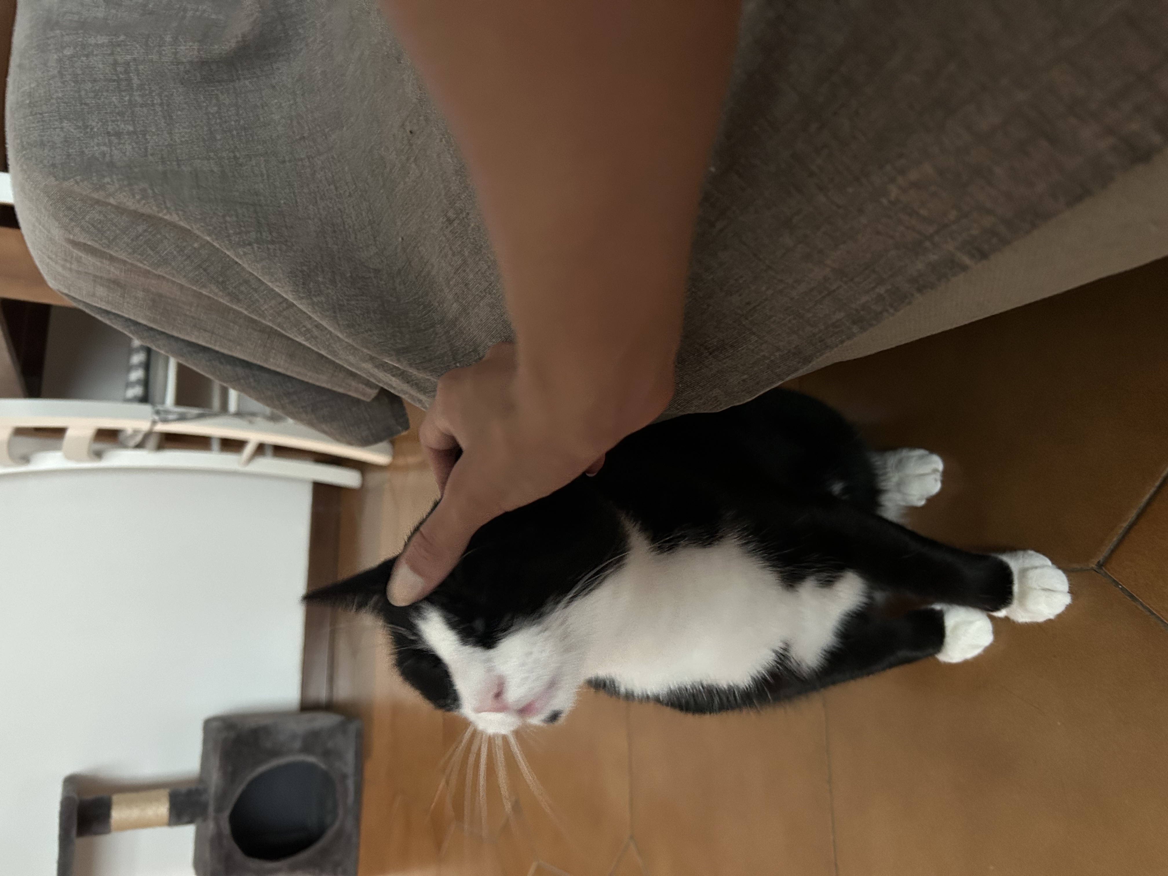 image-7