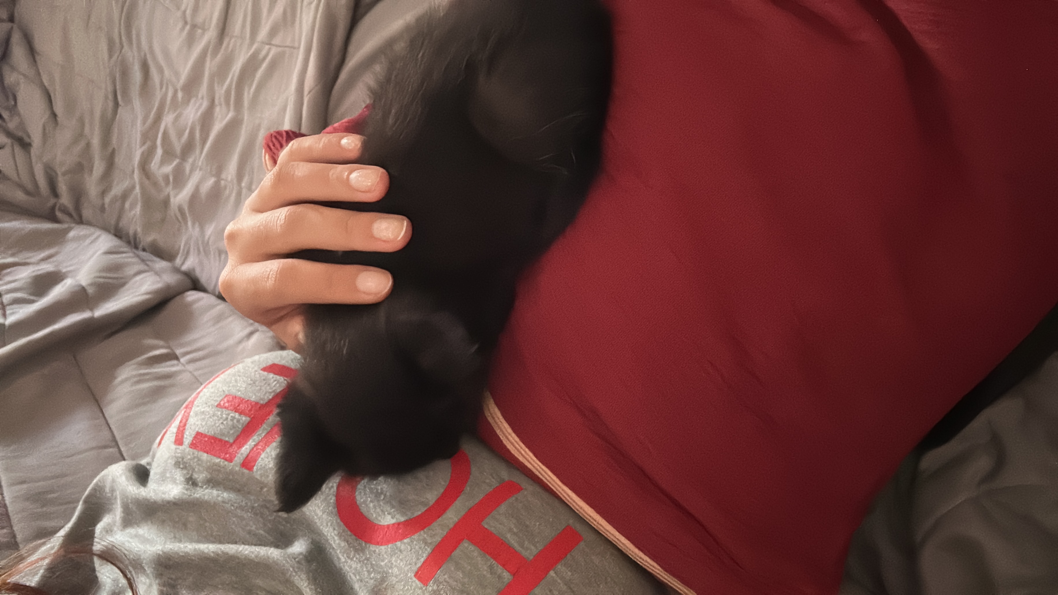 image-5