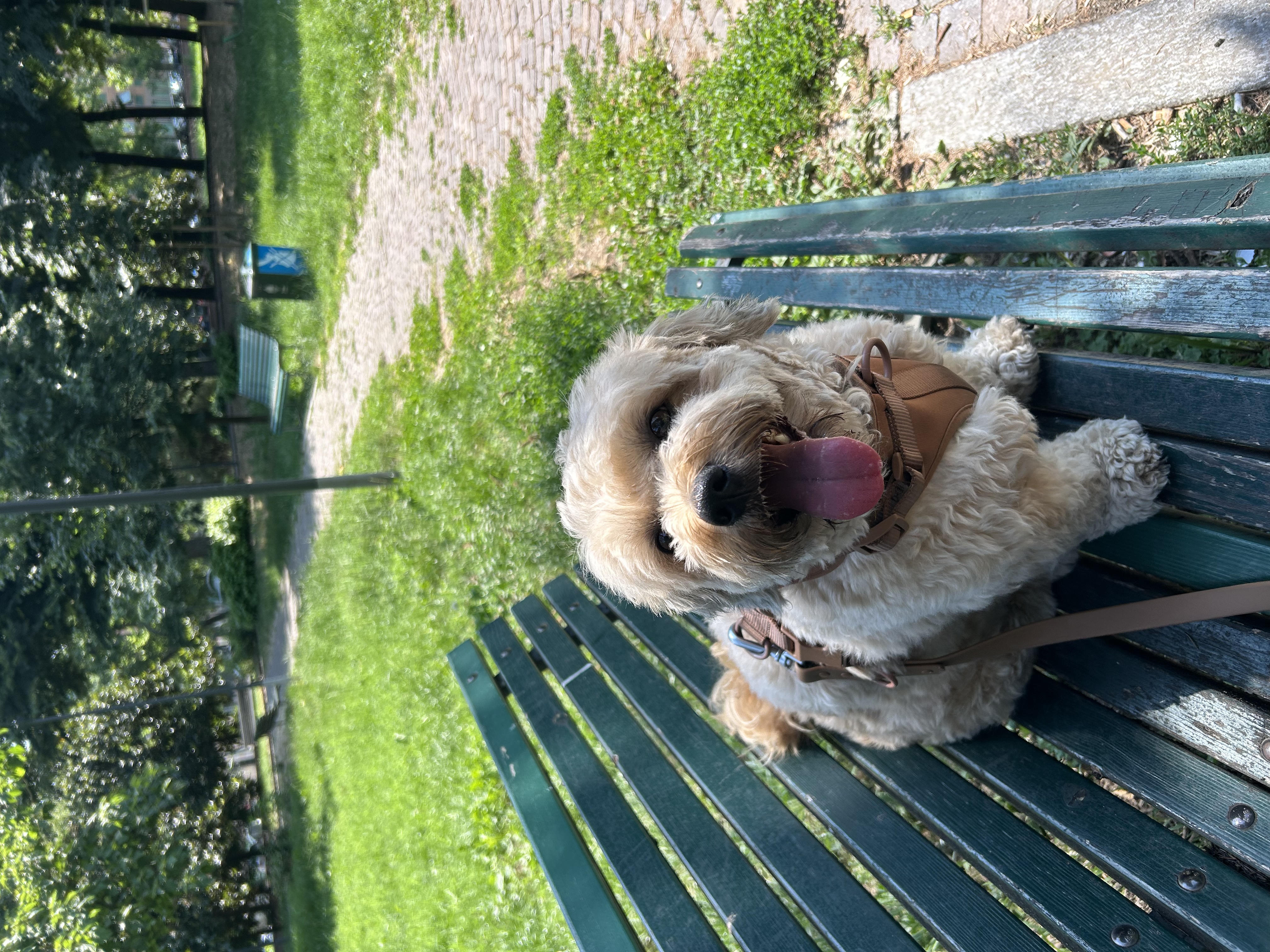 image-7