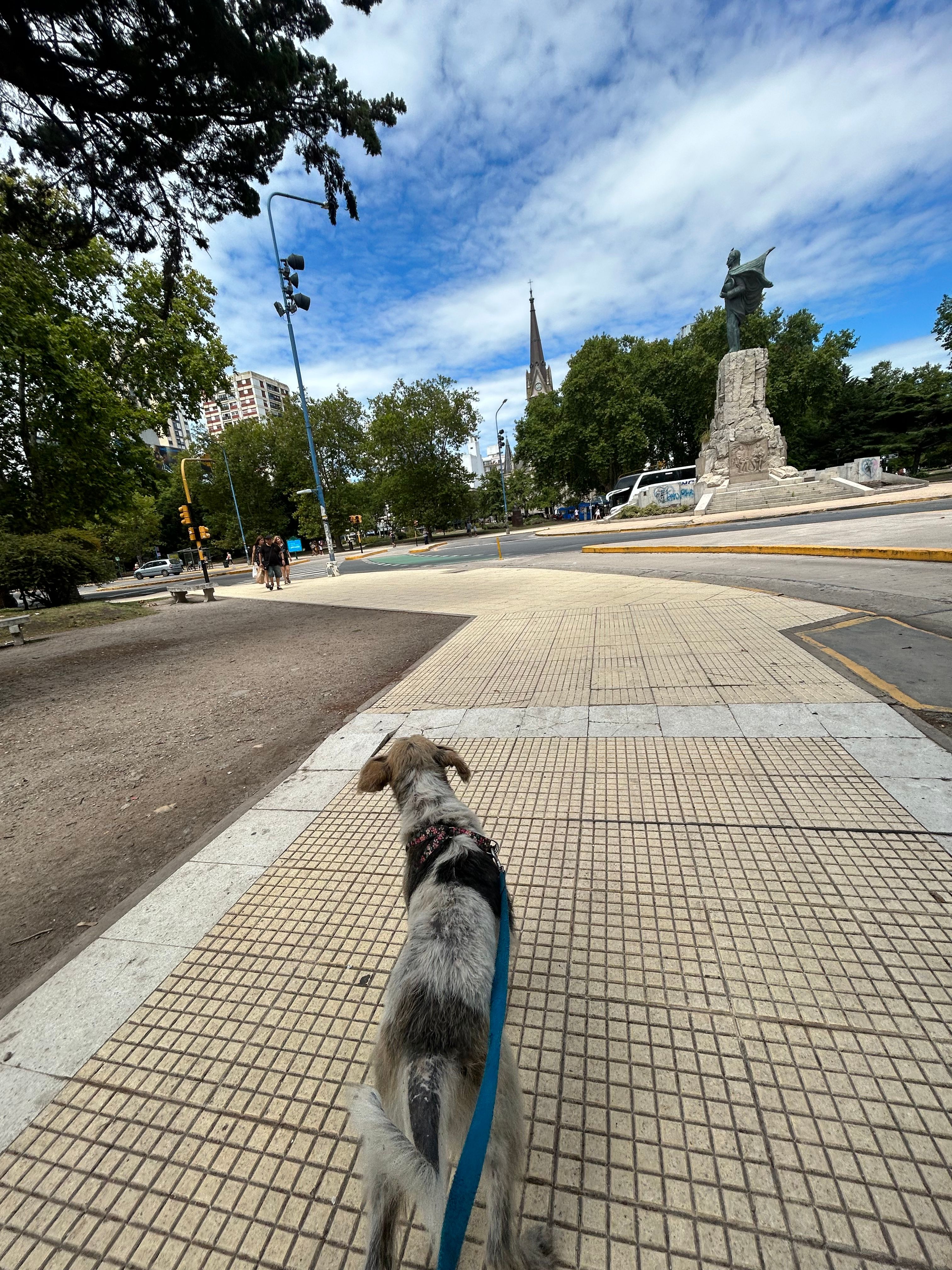 image-7
