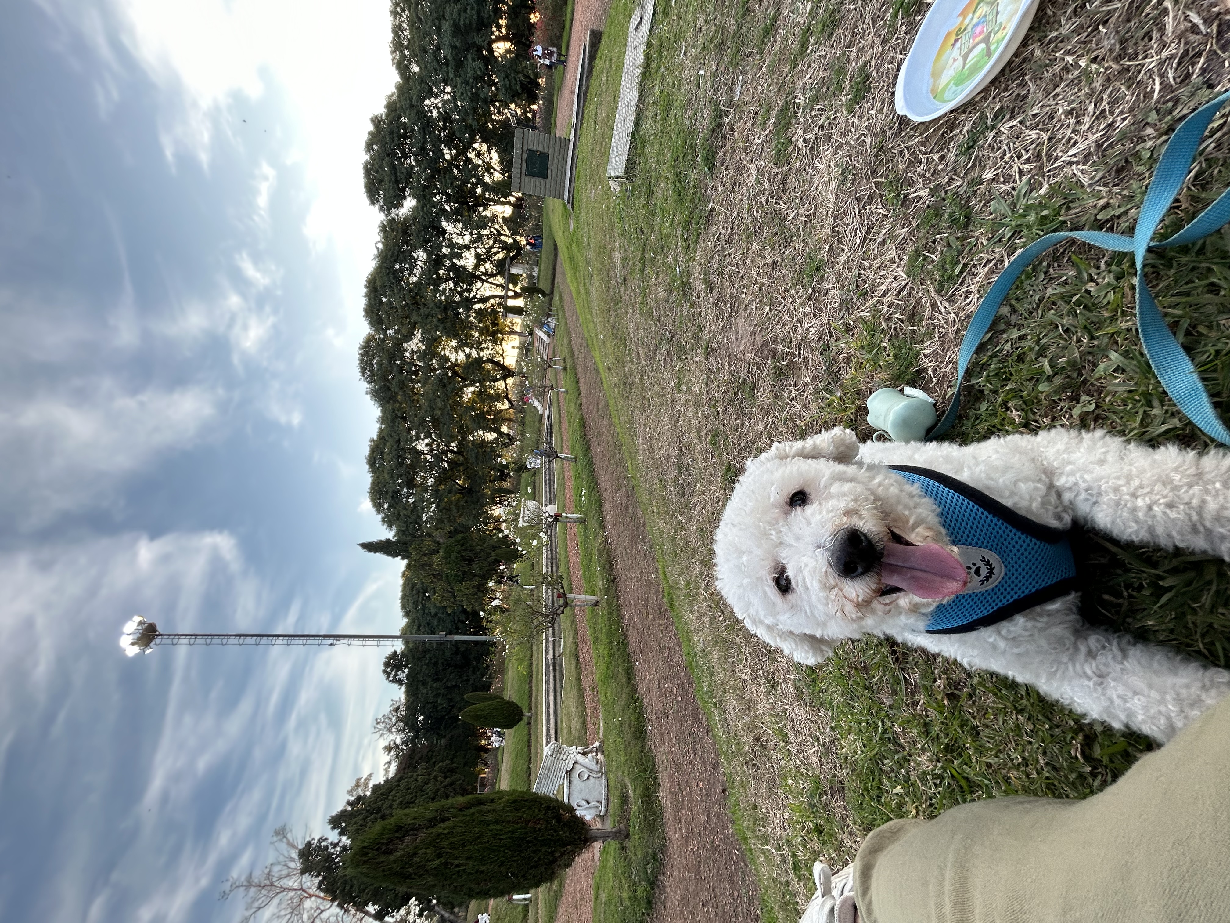 image-10