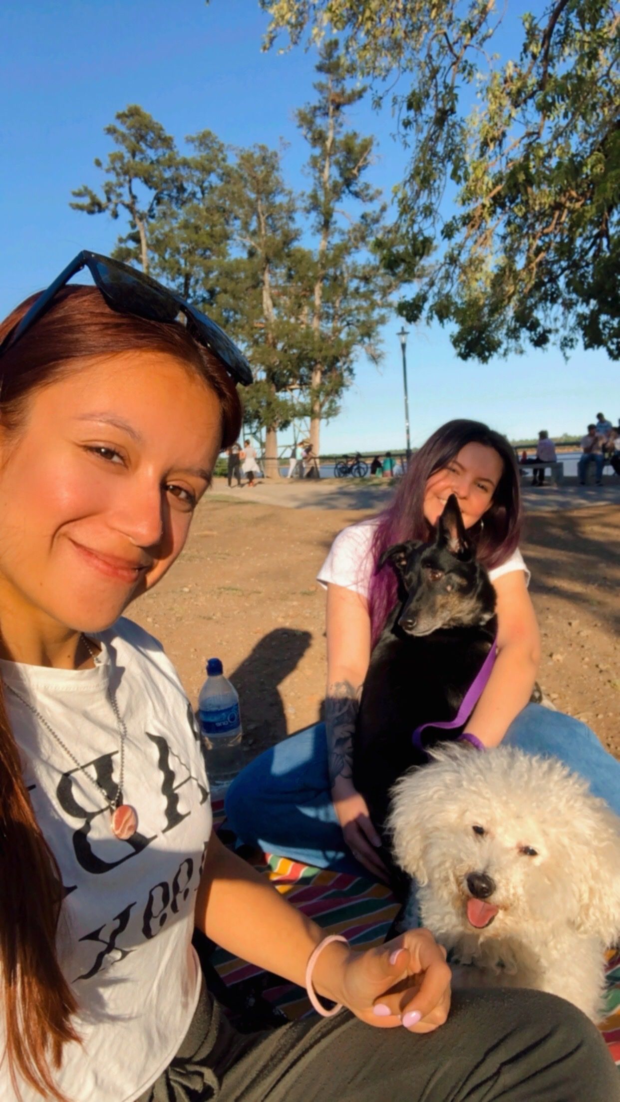 image-15