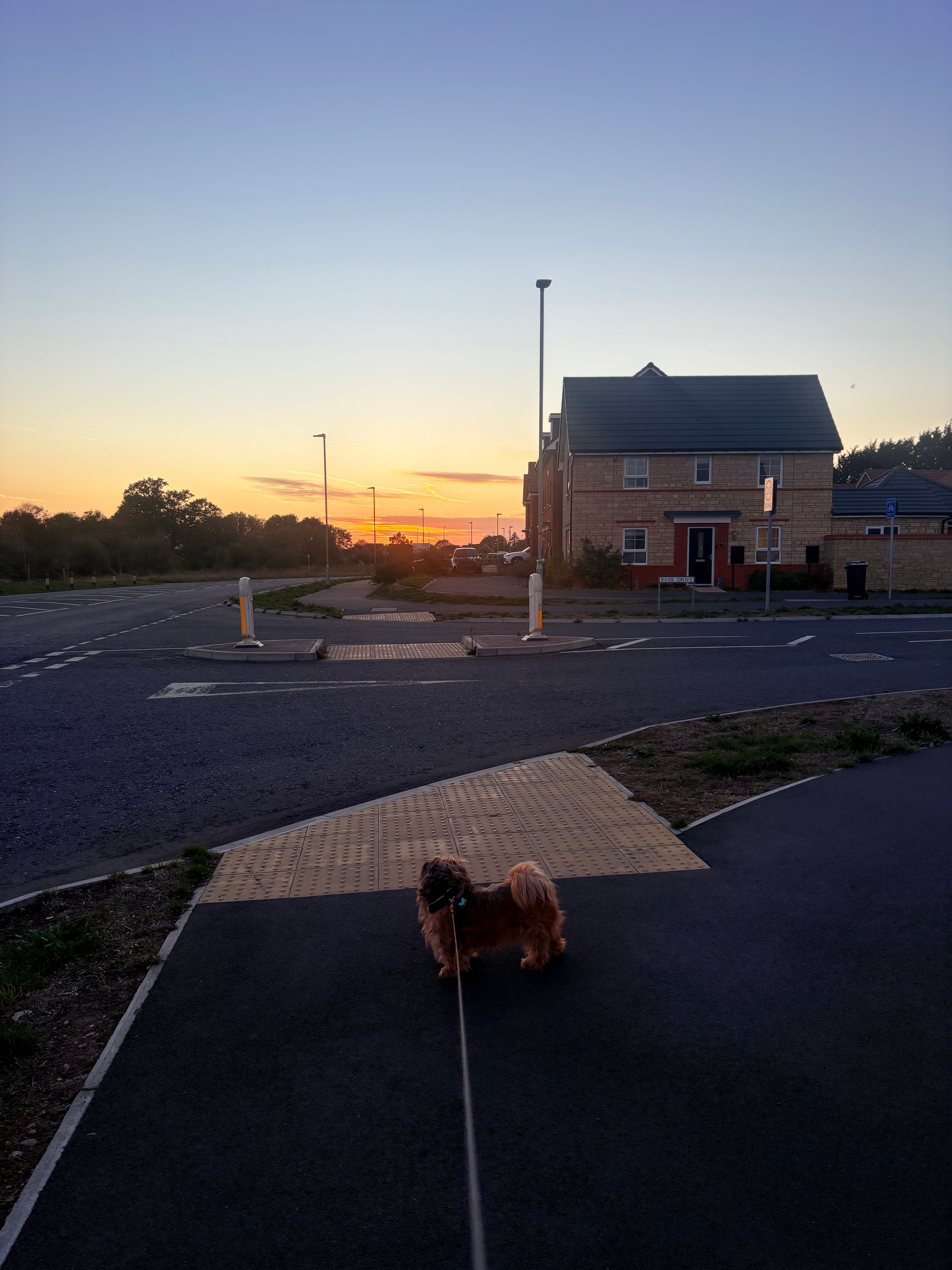image-5