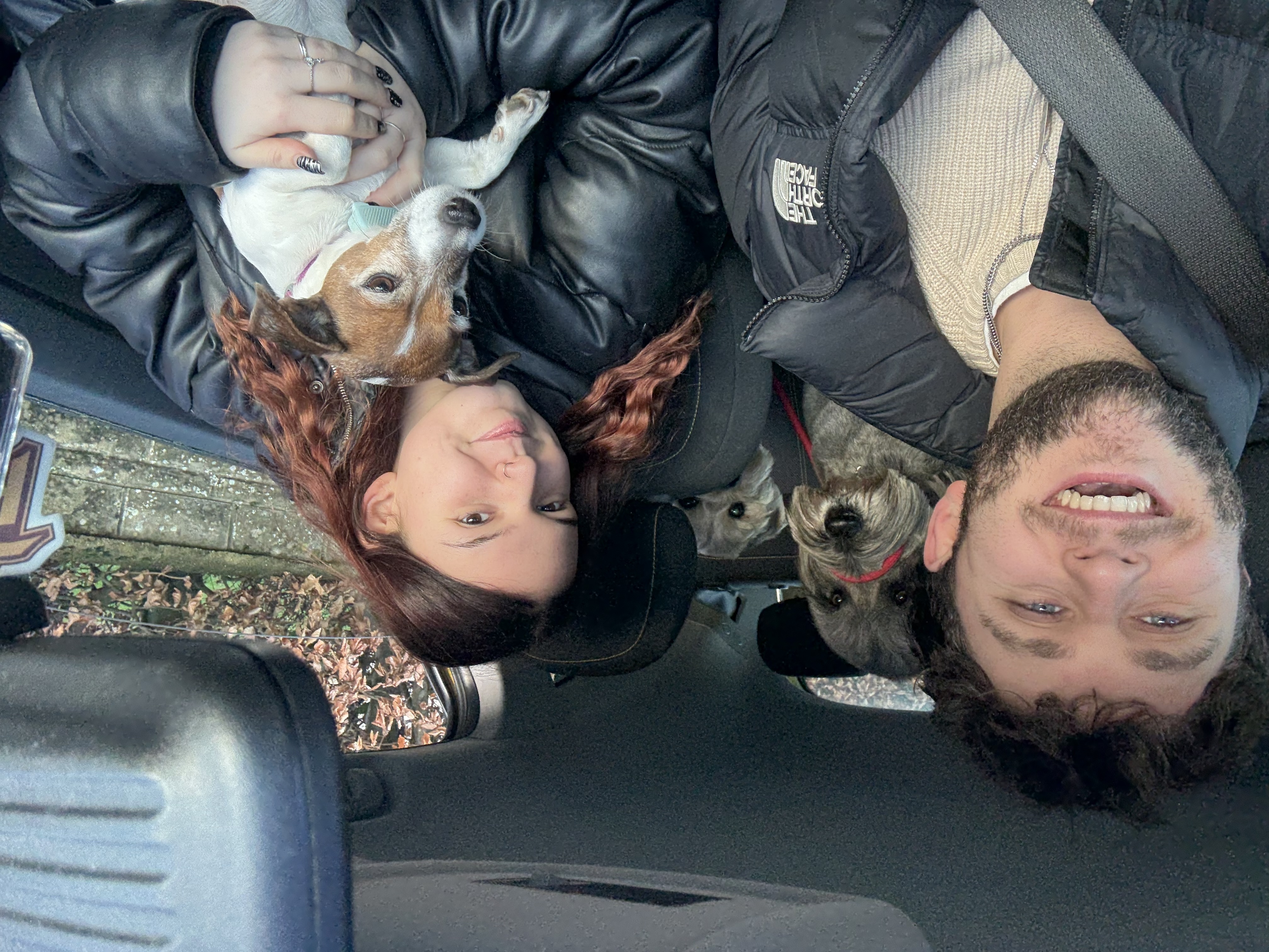 image-9