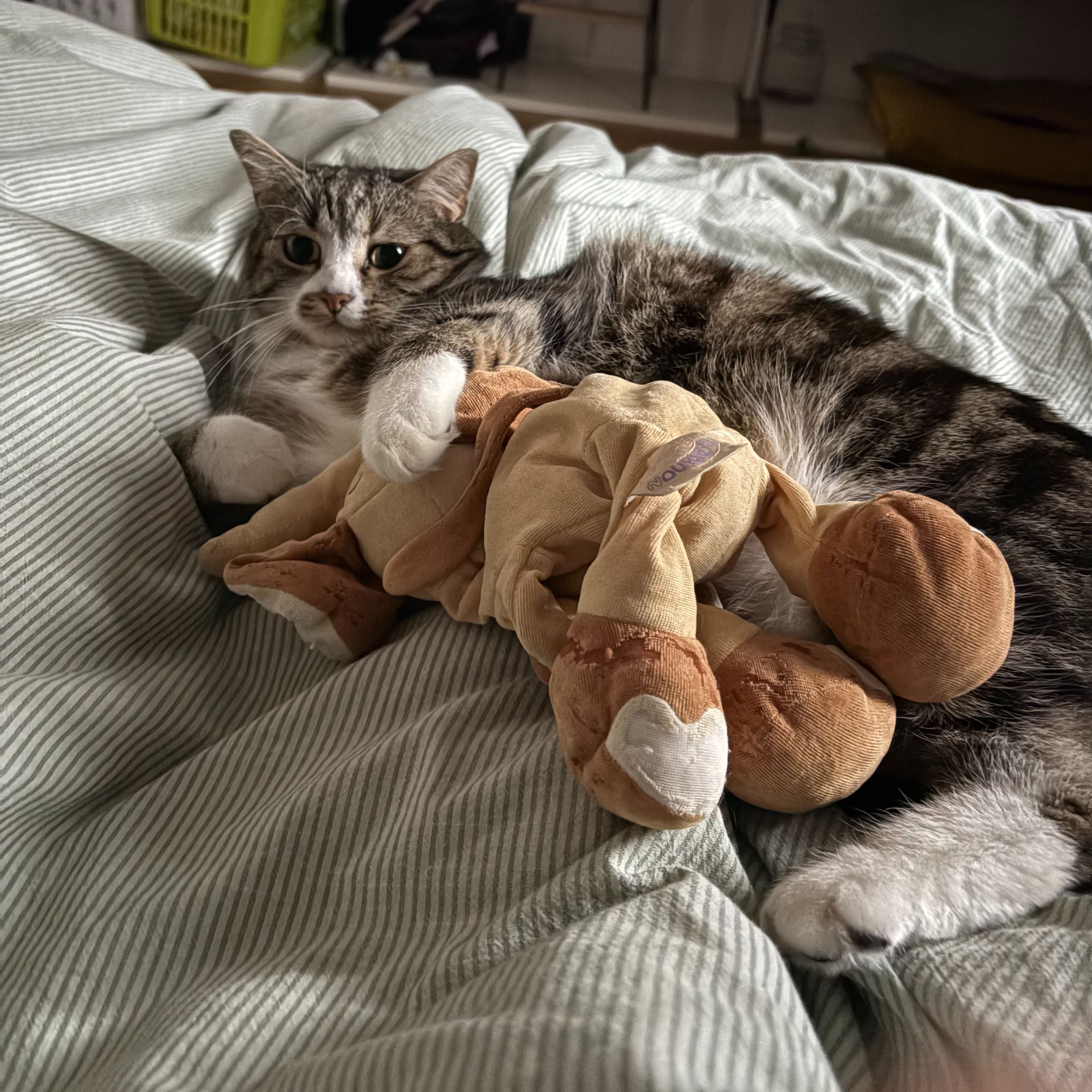 Pablo