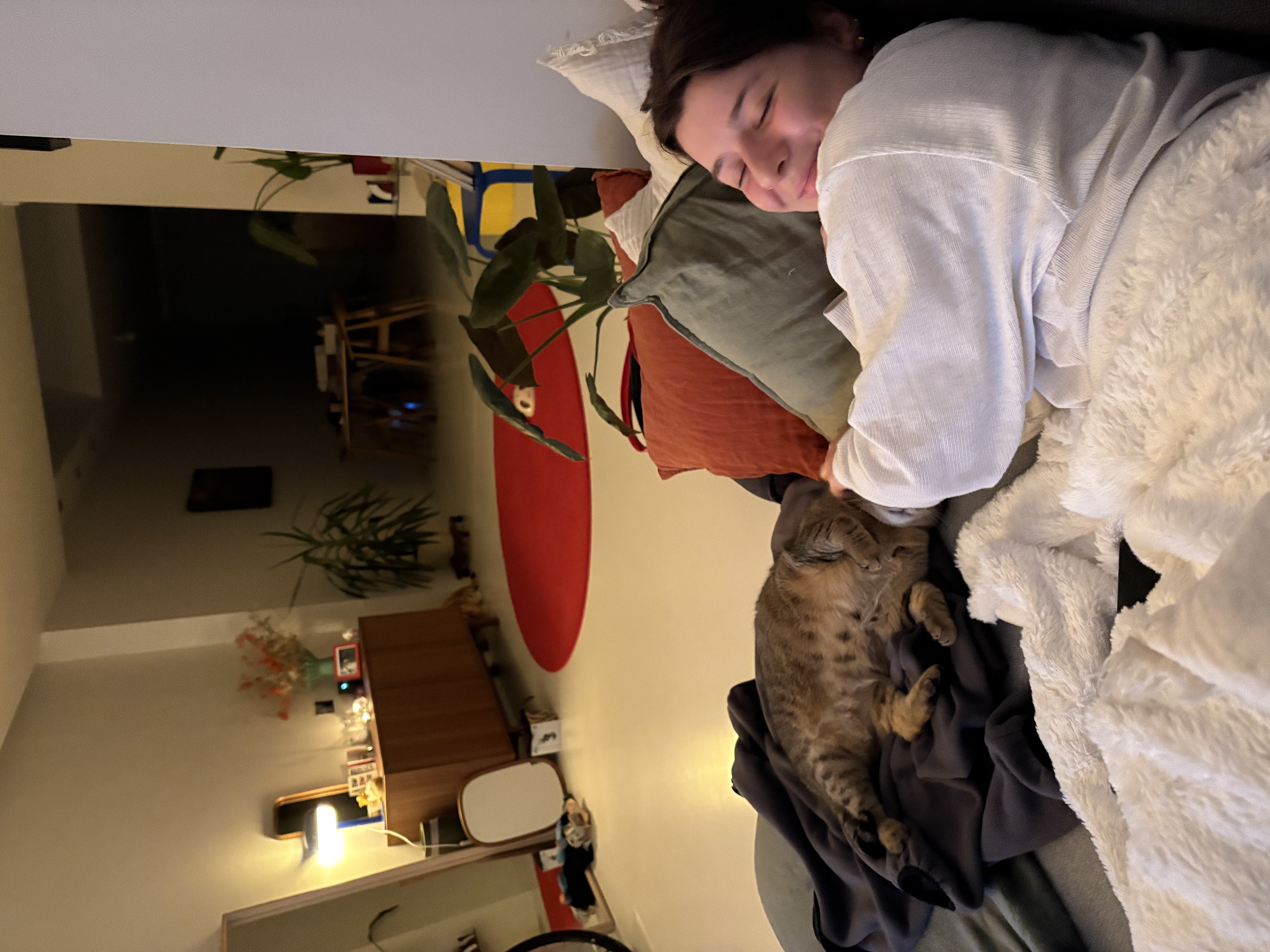 image-7